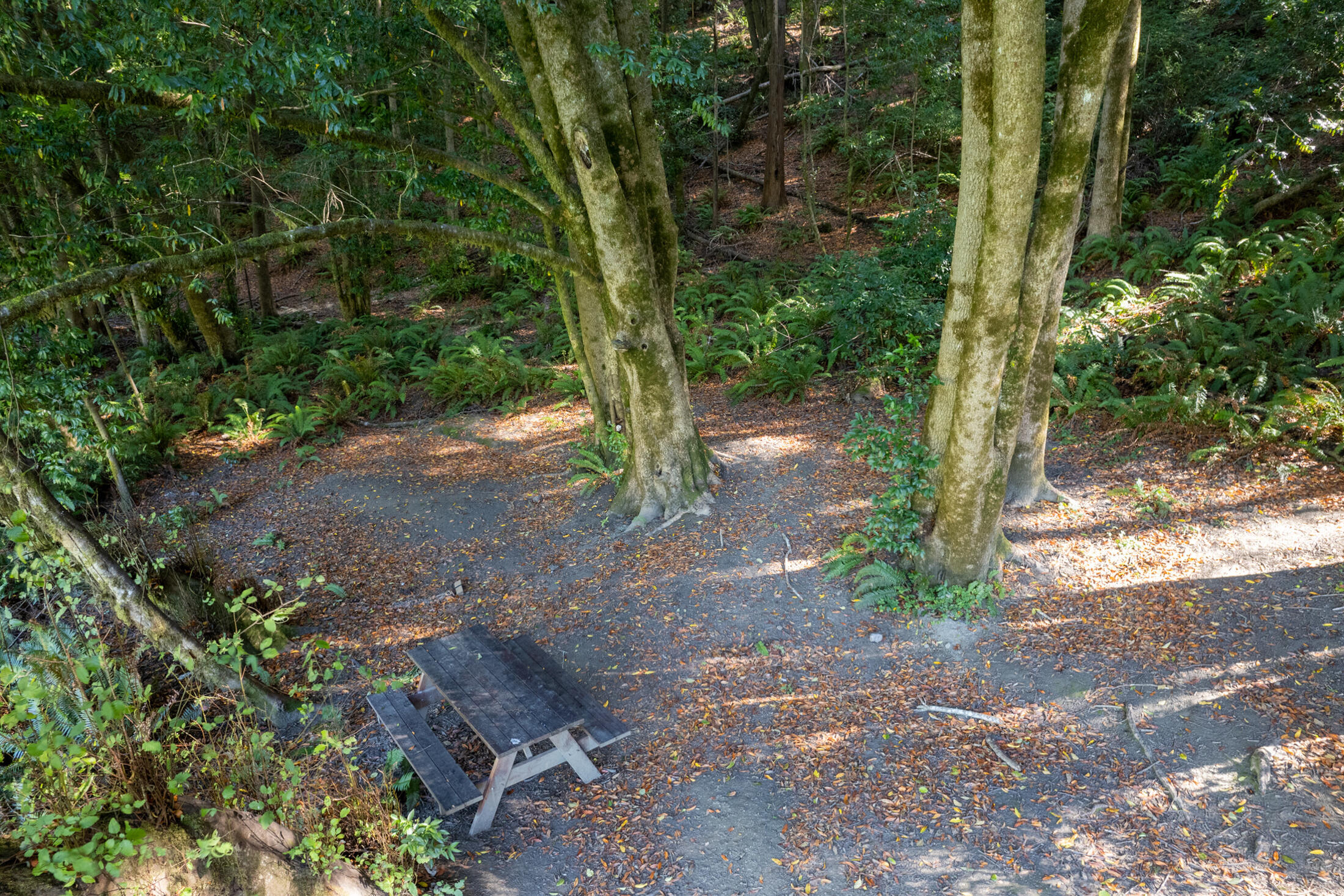13065 Johnson Road