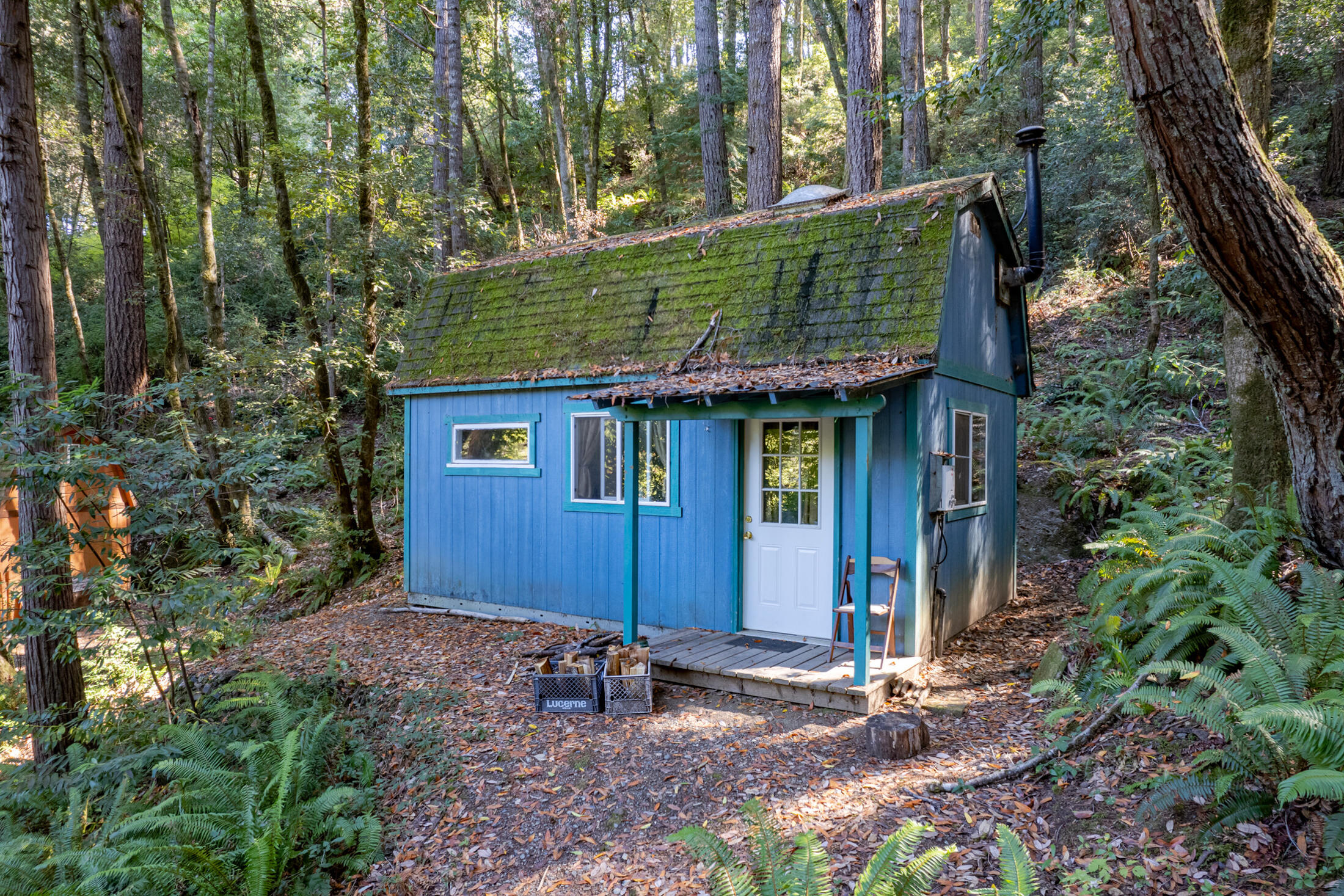 13065 Johnson Road