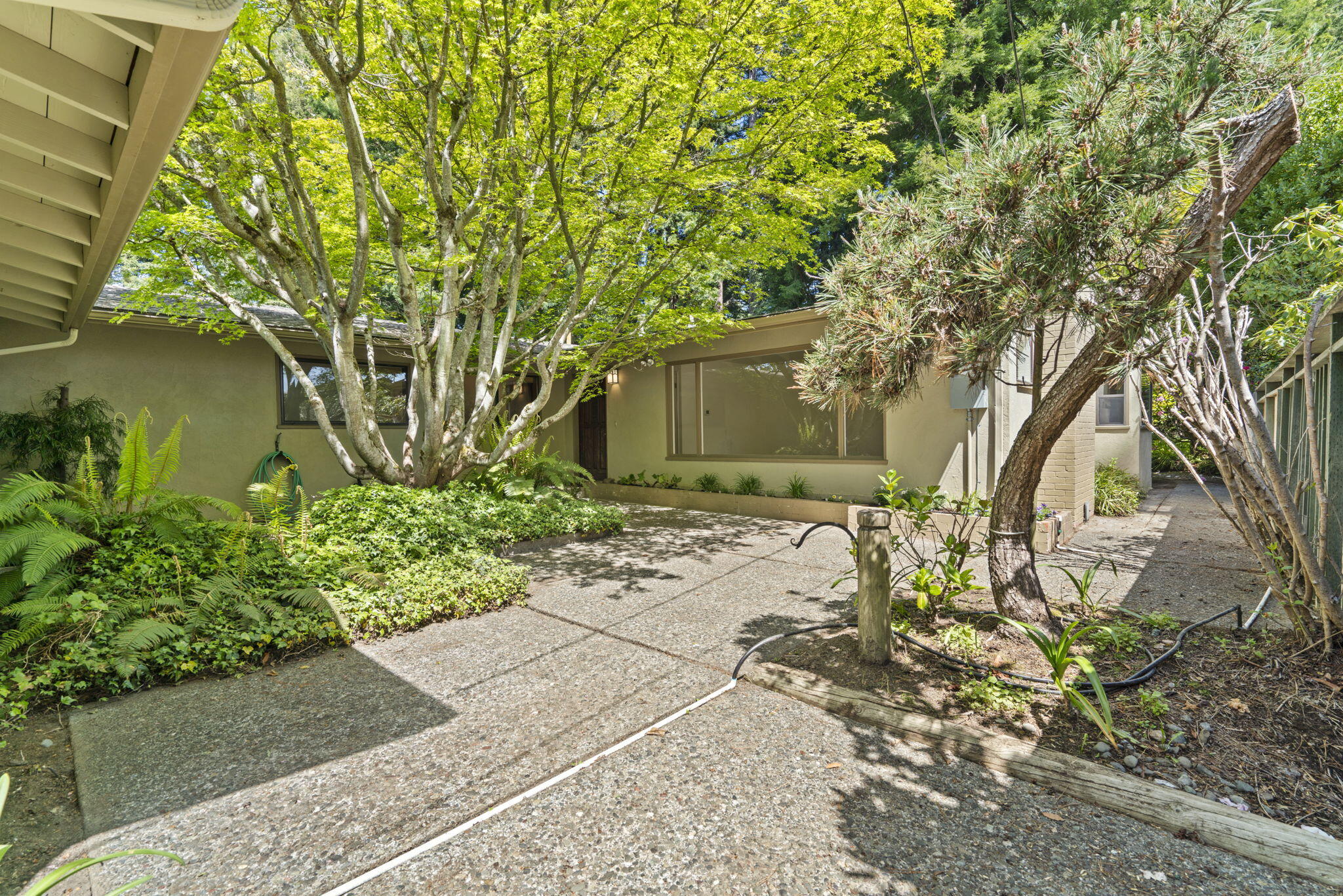 2469 Chester Street