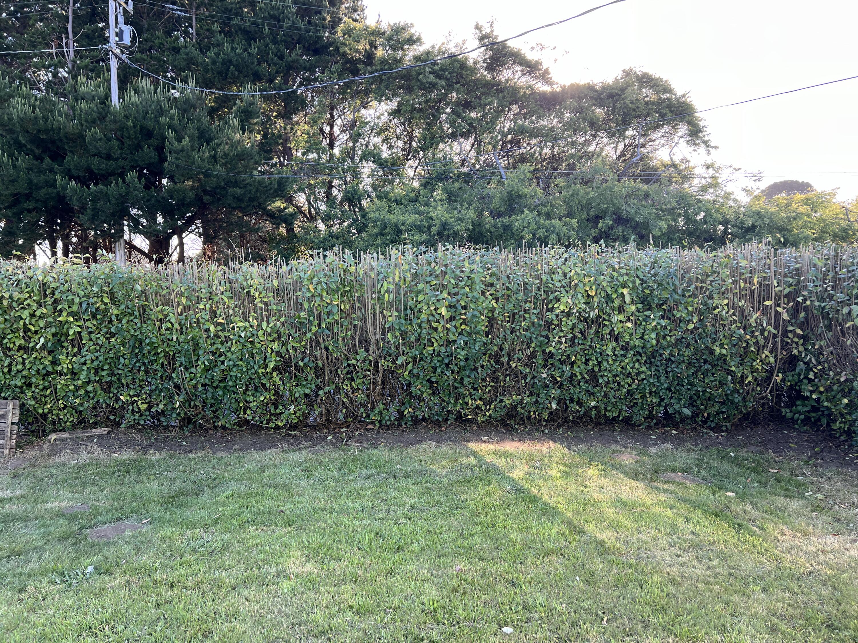 1557 Harper Avenue, McKinleyville