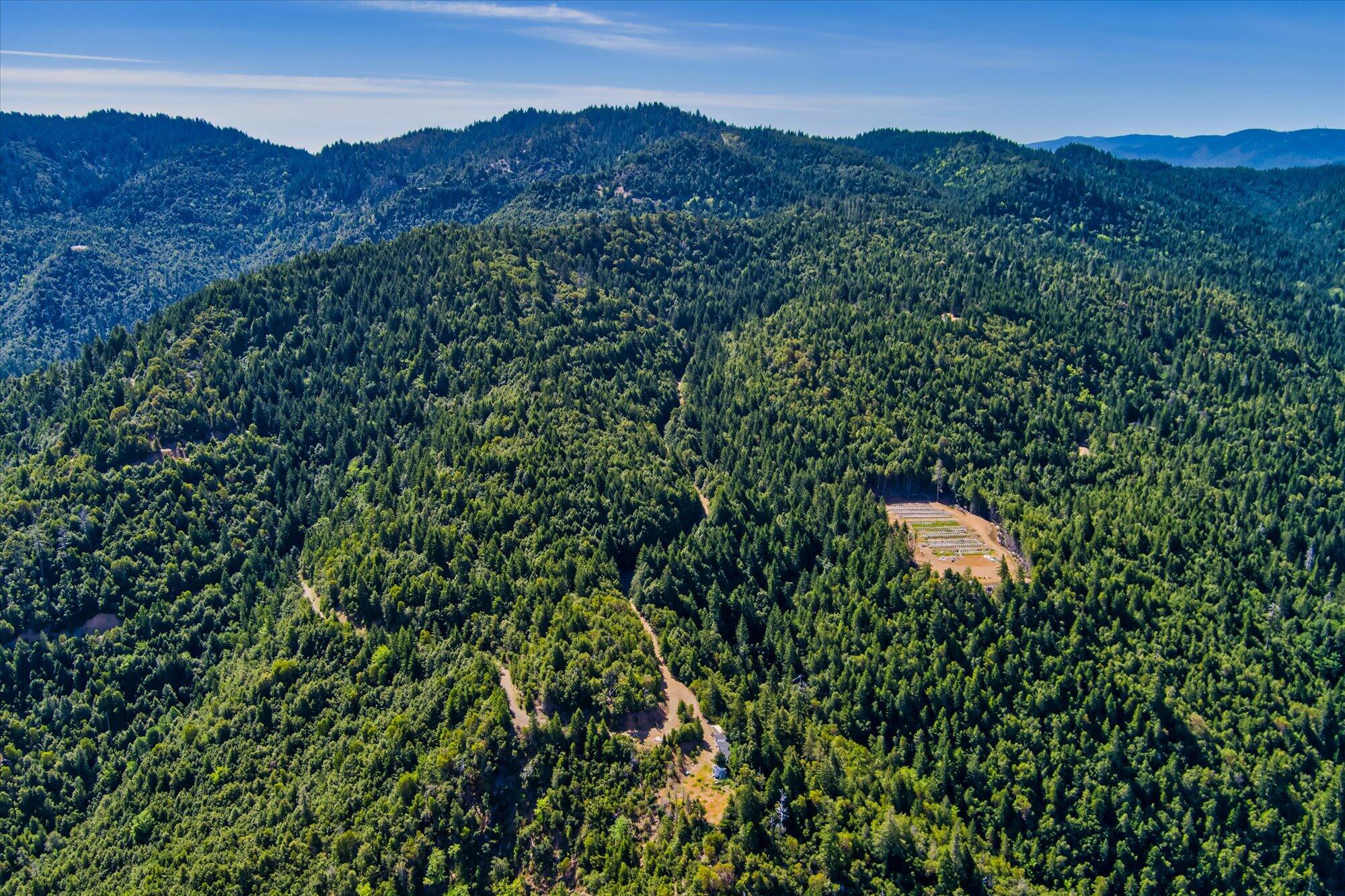 250+/-Acre Old Three Creeks Road