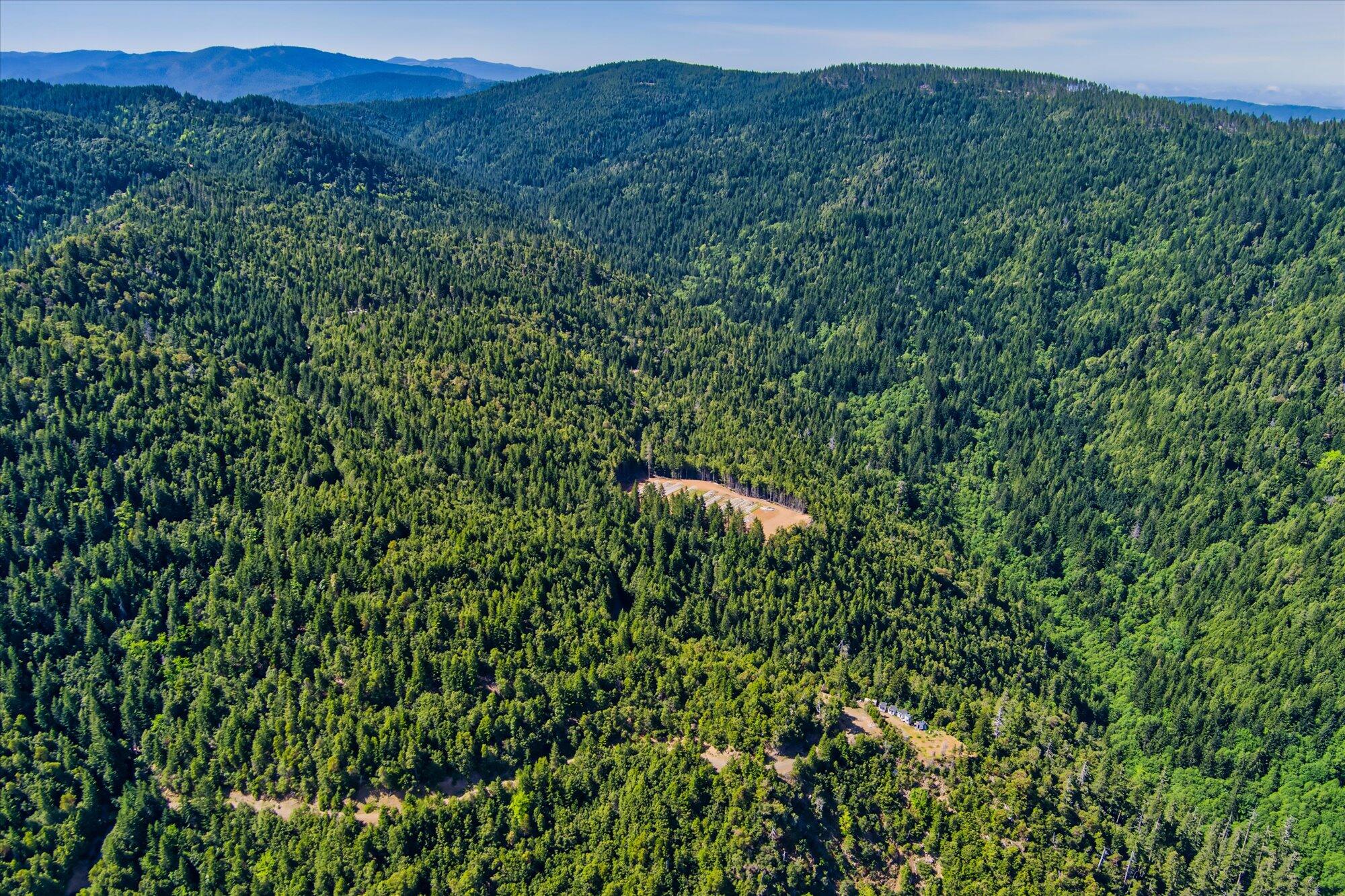250+/-Acre Old Three Creeks Road