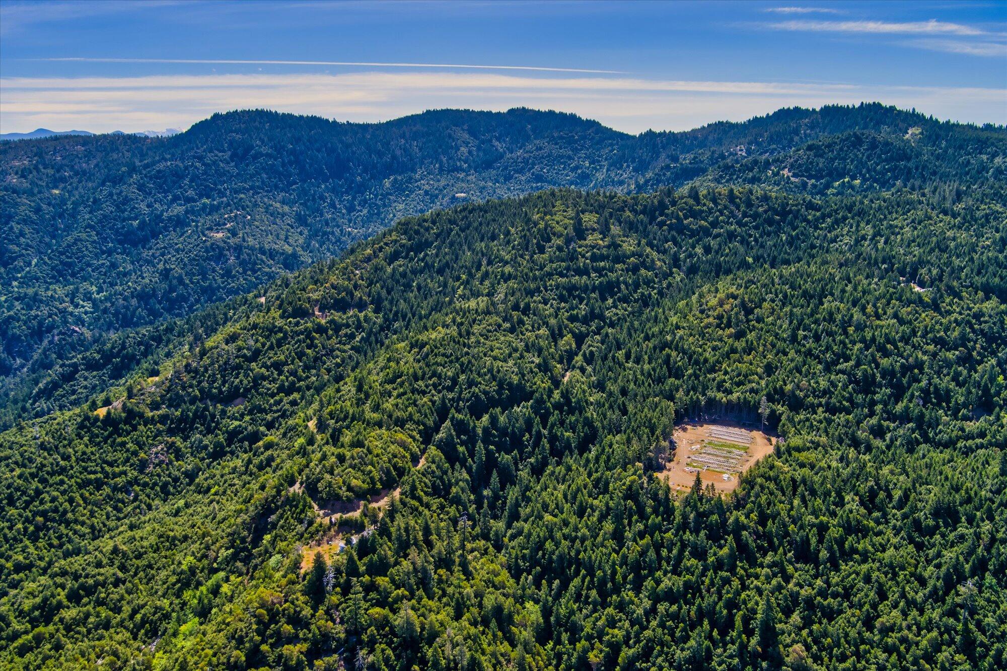 250+/-Acre Old Three Creeks Road