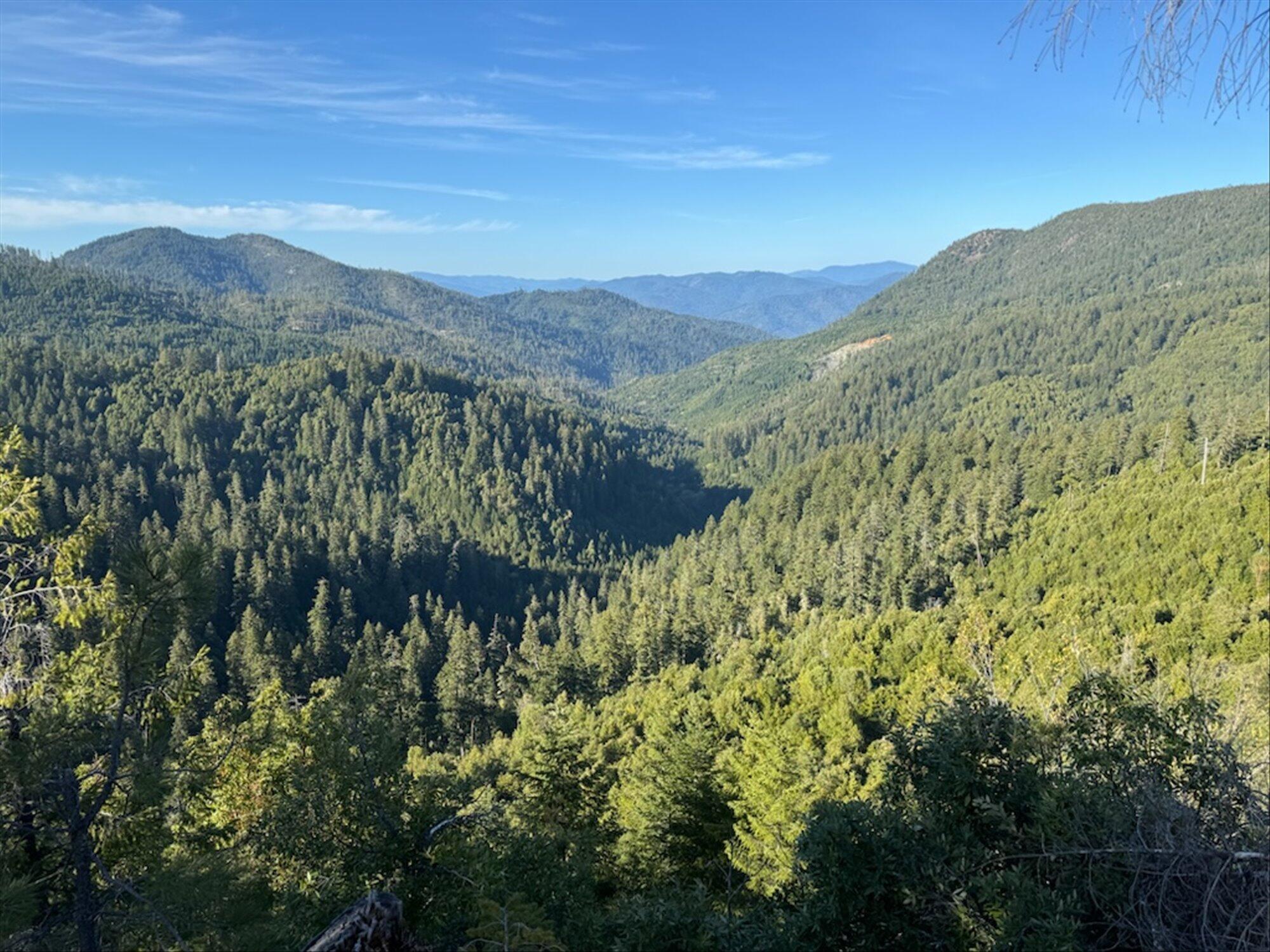 250+/-Acre Old Three Creeks Road