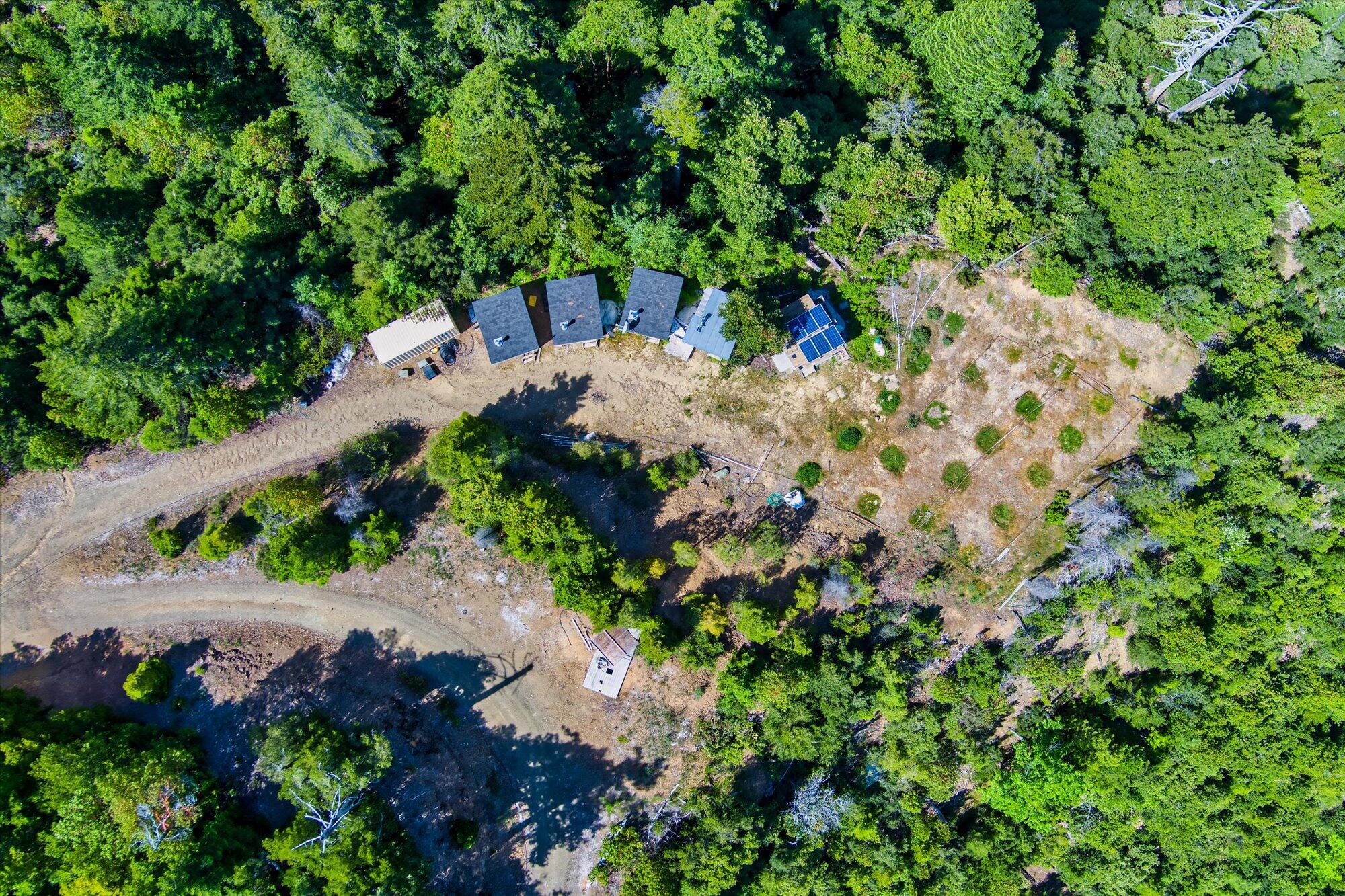 250+/-Acre Old Three Creeks Road