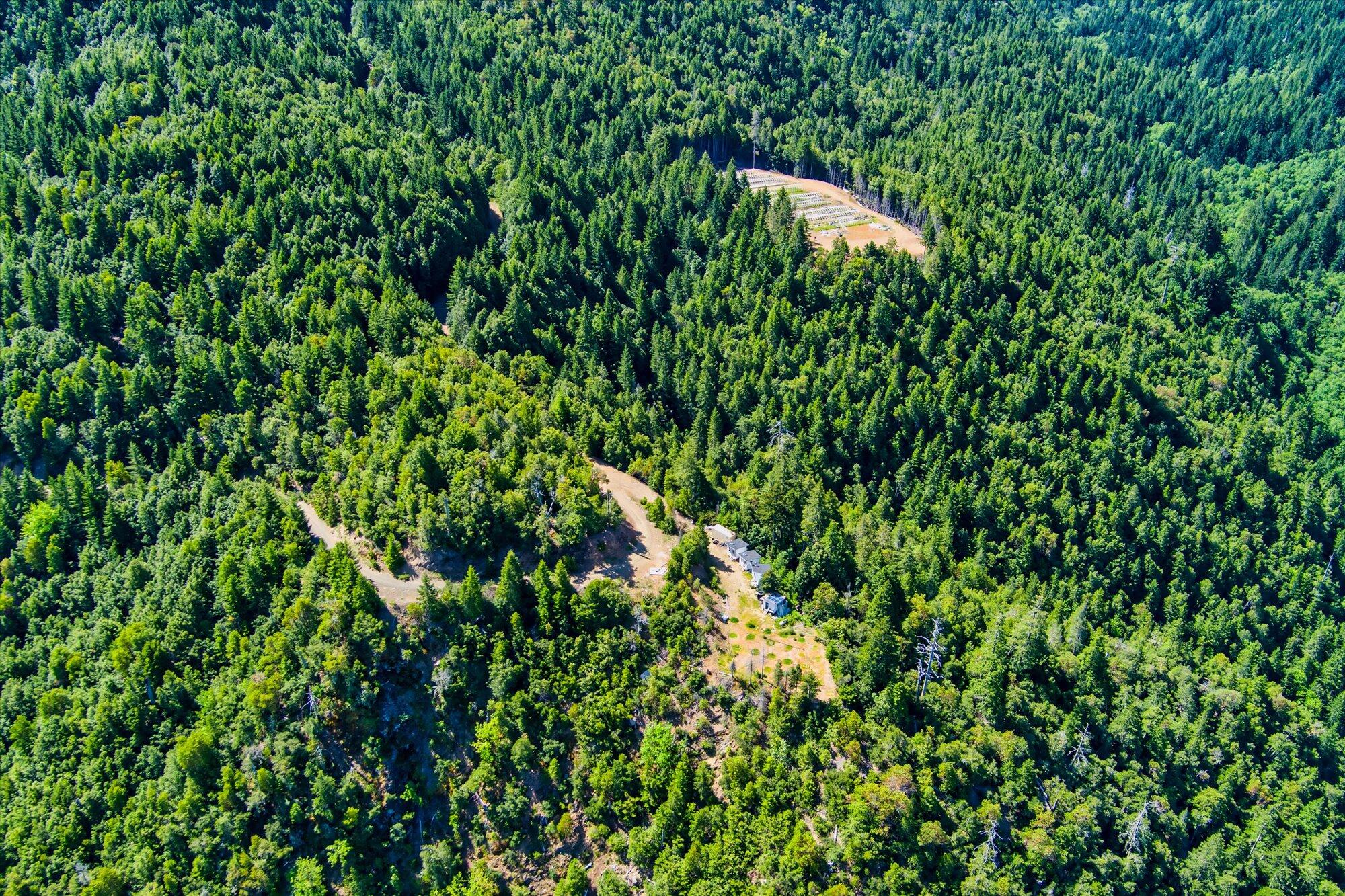 250+/-Acre Old Three Creeks Road