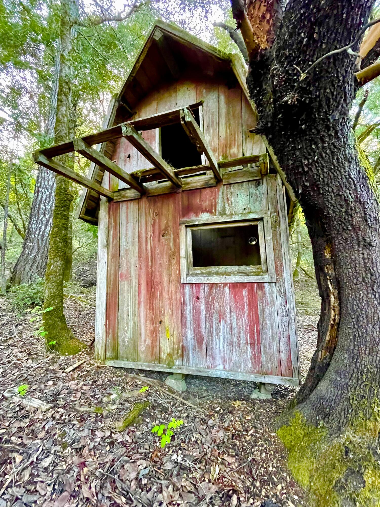 3525 Thomas Road