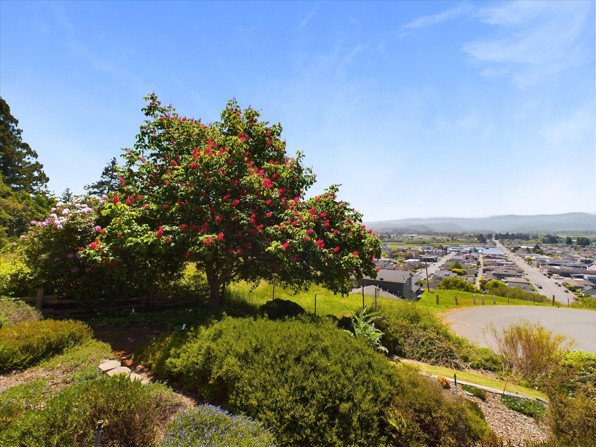1153 Vista Drive