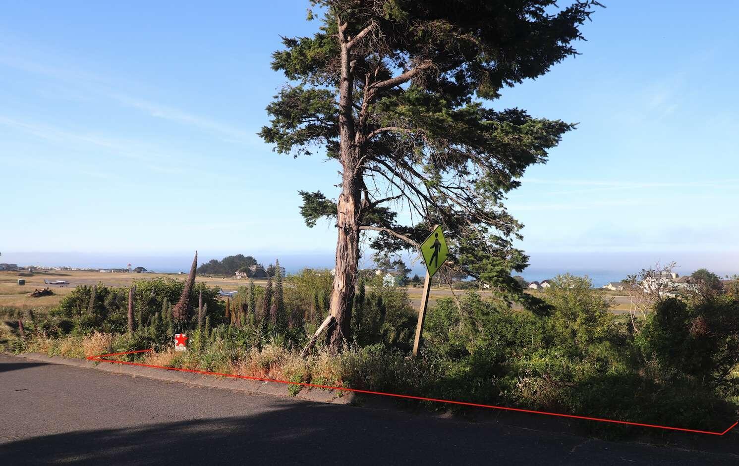 1445 Upper Pacific Drive