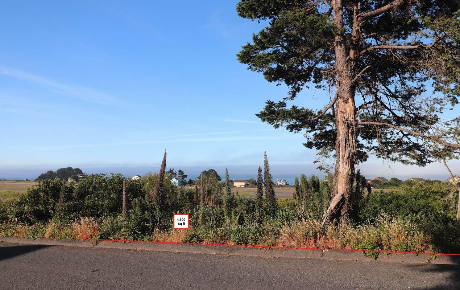 1445 Upper Pacific Drive