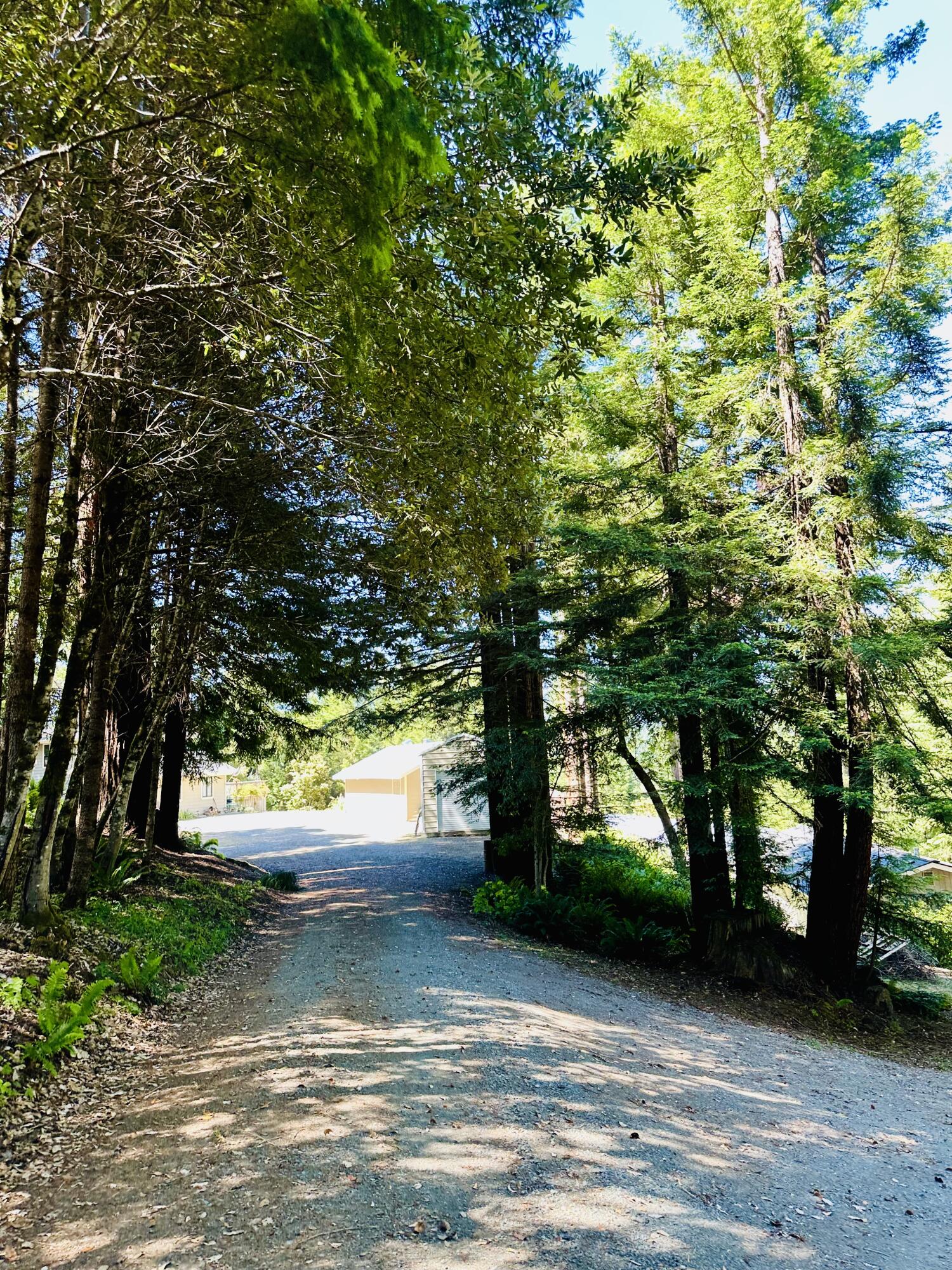 10667 Dyerville Loop Road