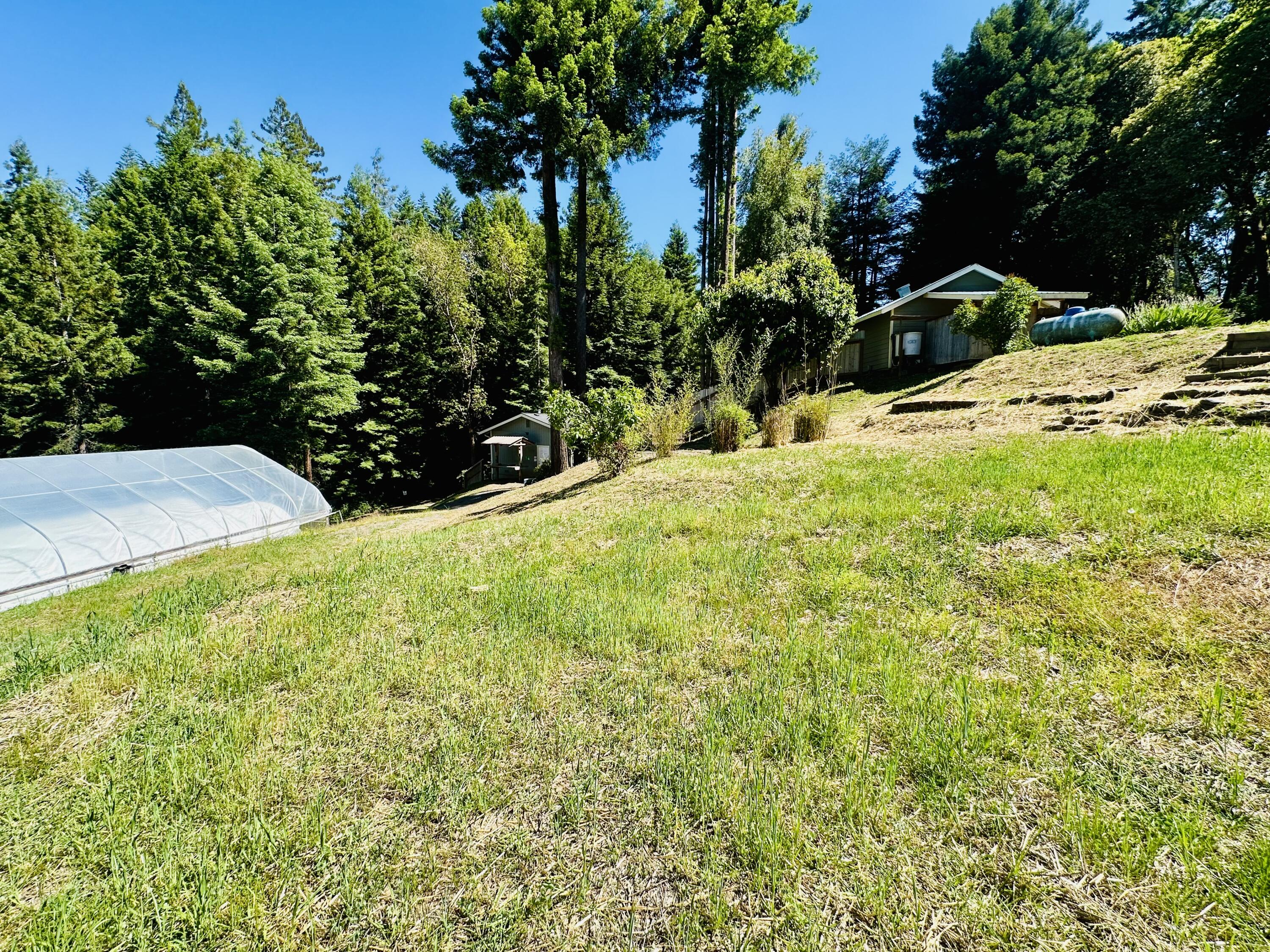 10667 Dyerville Loop Road