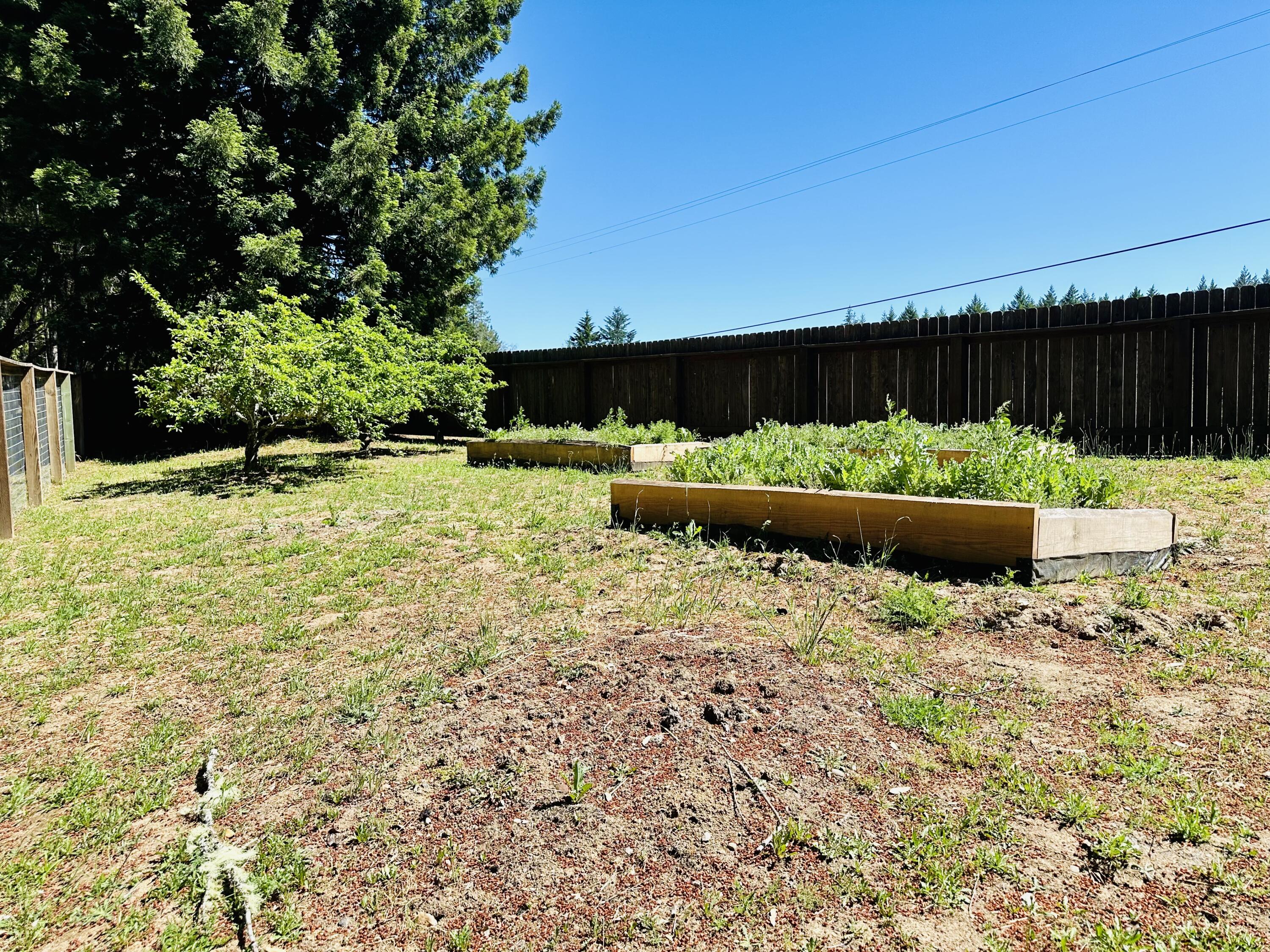 10667 Dyerville Loop Road