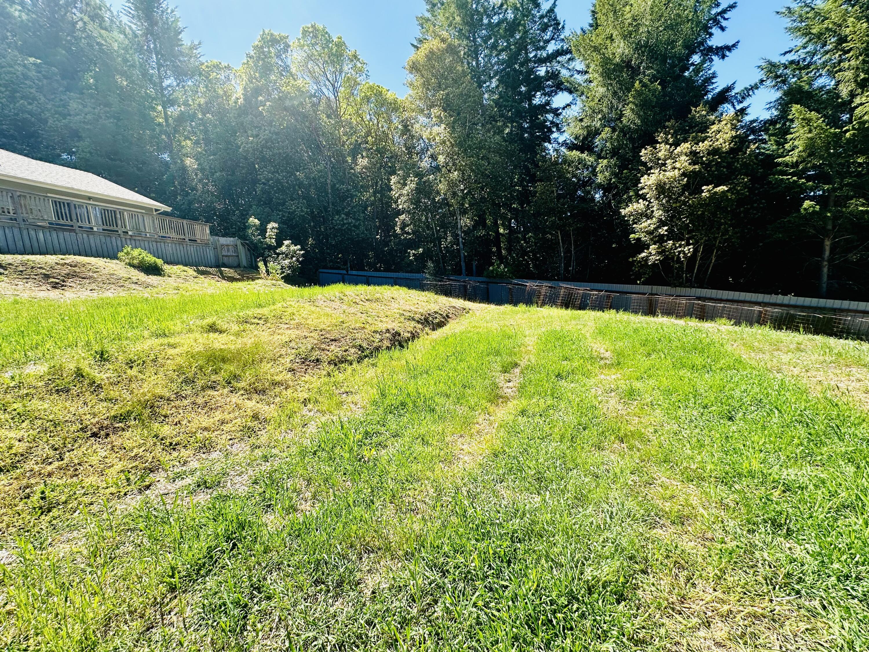 10667 Dyerville Loop Road