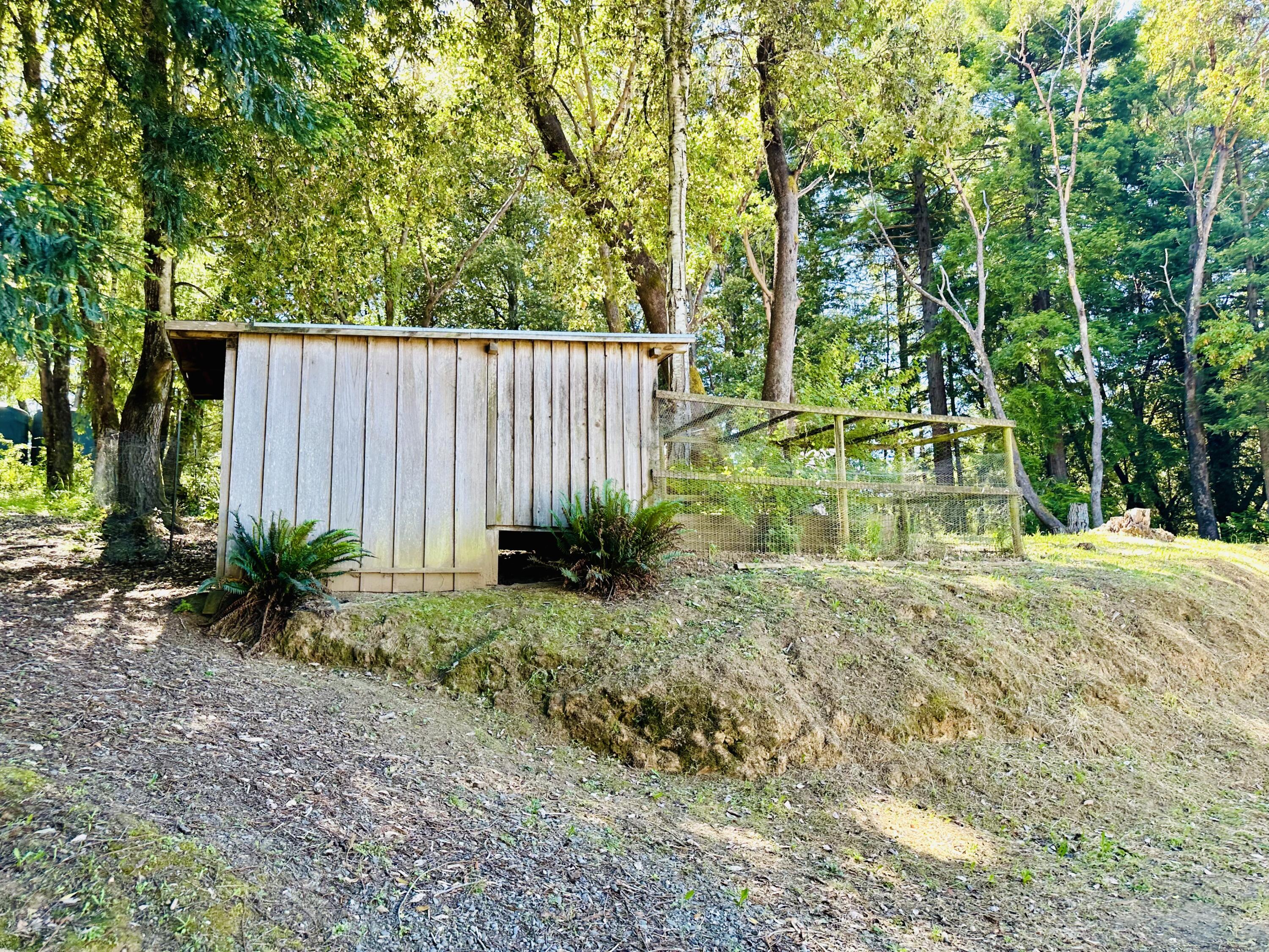 10667 Dyerville Loop Road