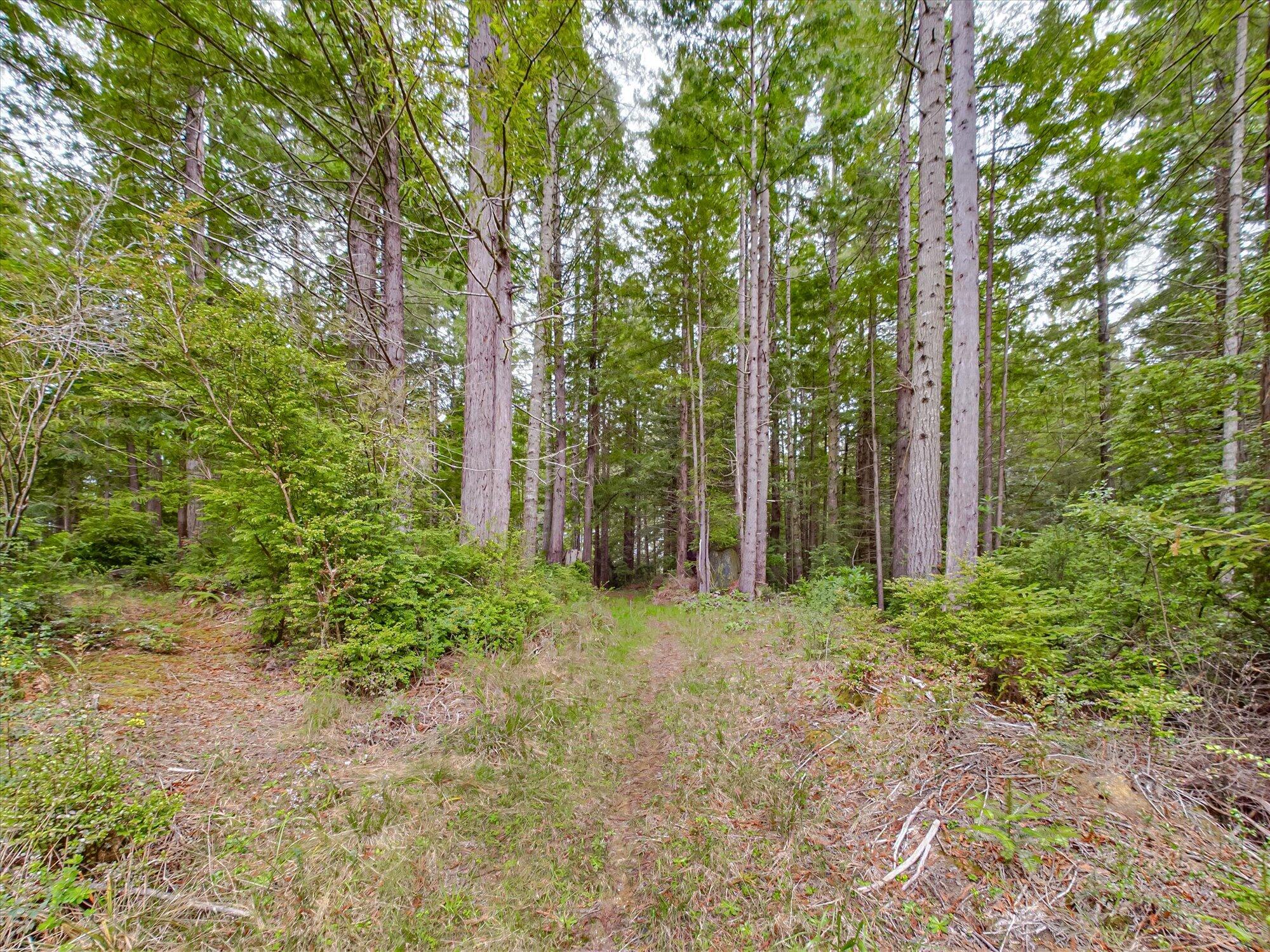 355 Redmond Road