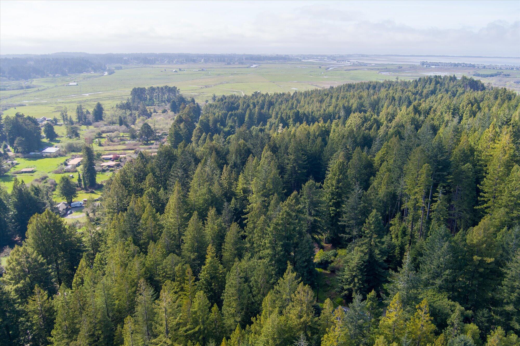 355 Redmond Road