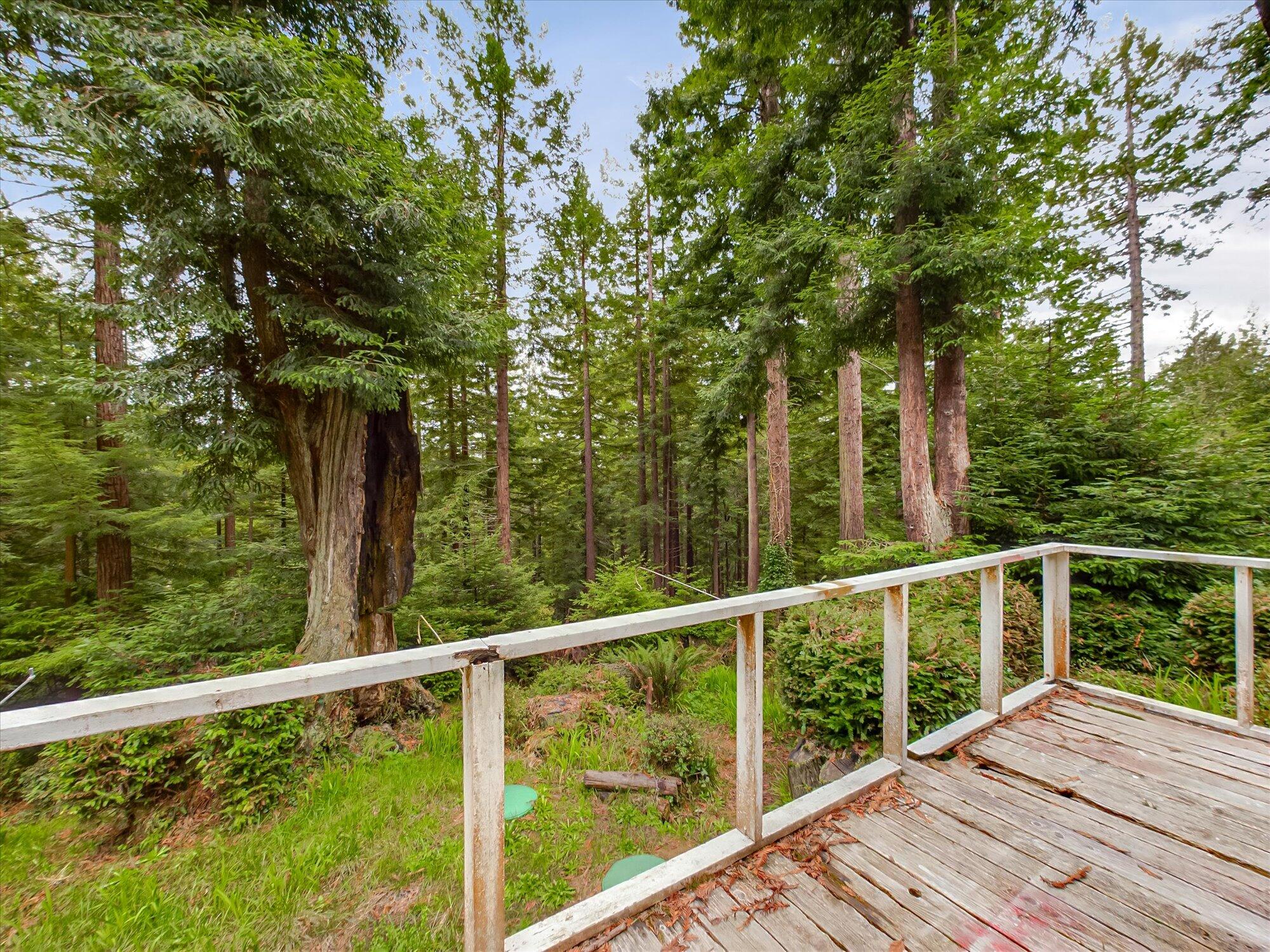 355 Redmond Road