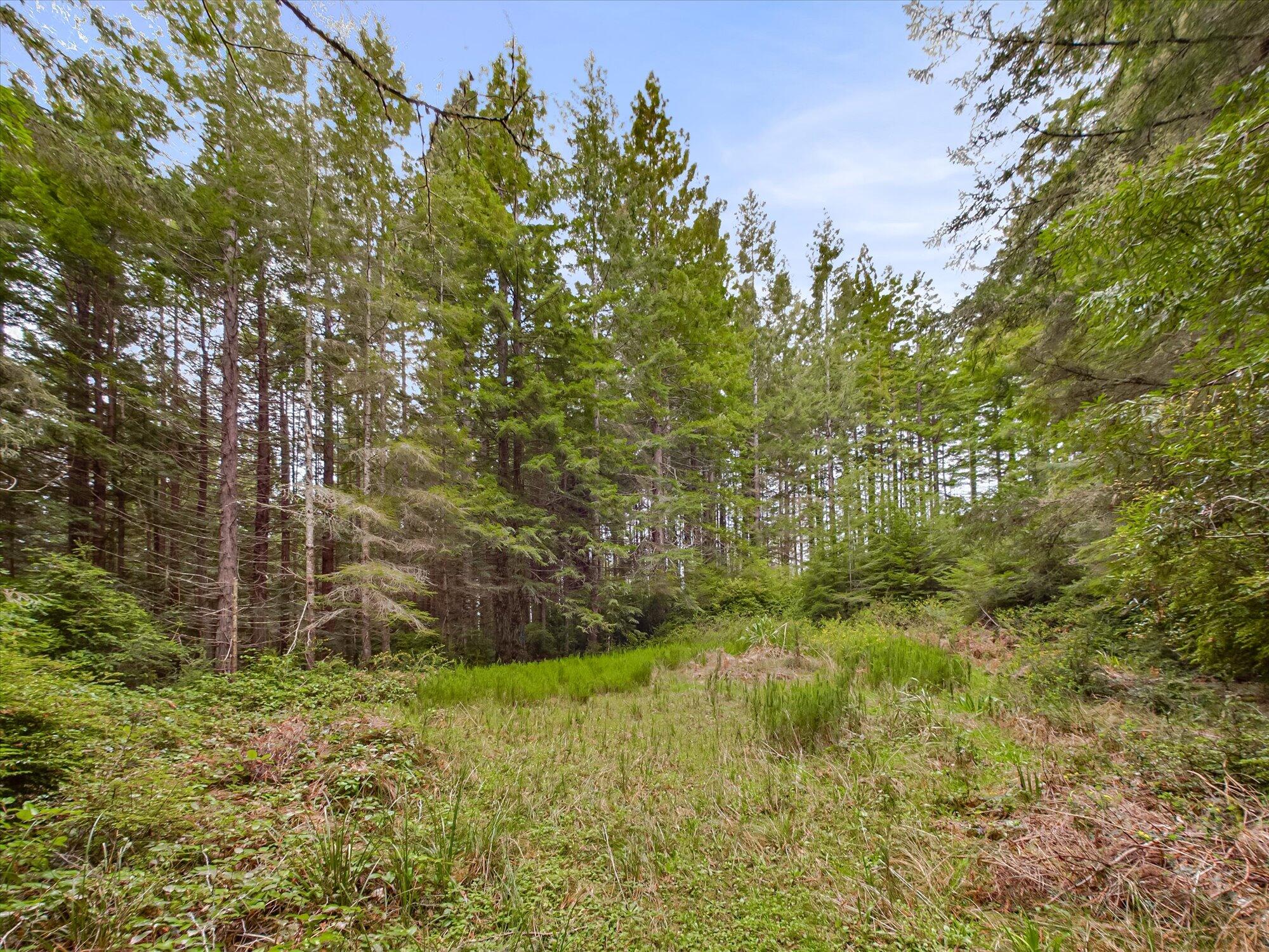 355 Redmond Road