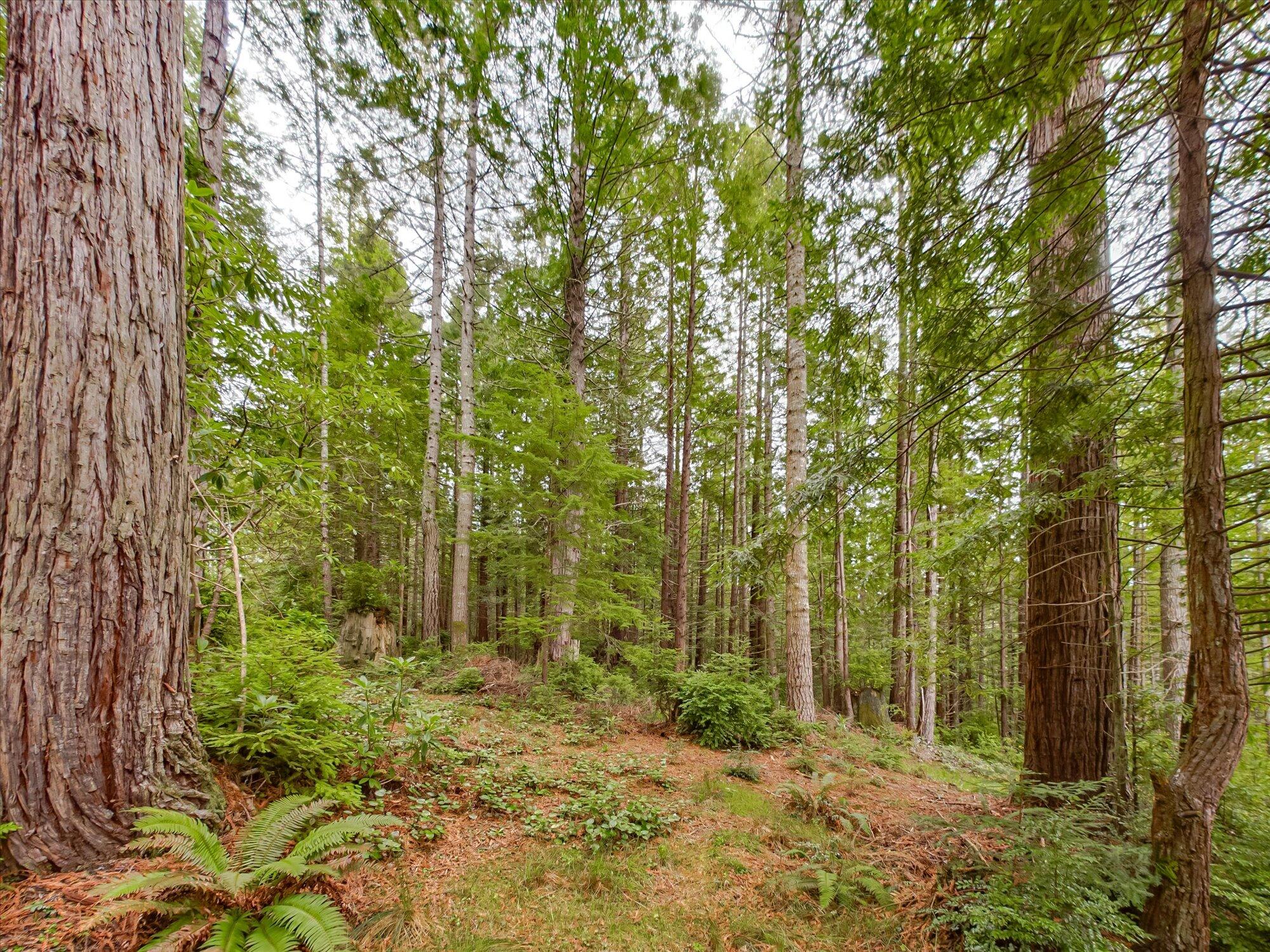 355 Redmond Road