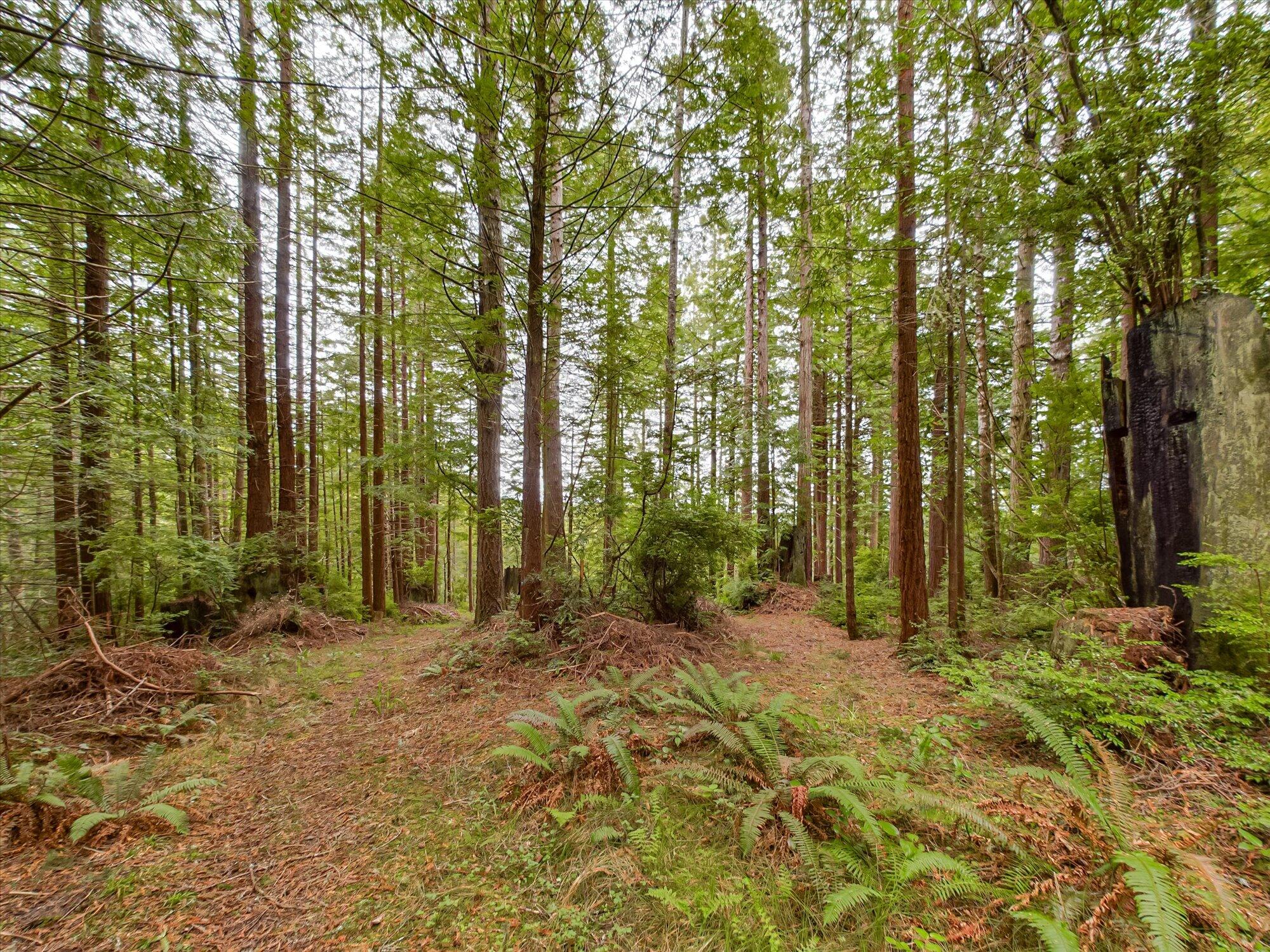 355 Redmond Road