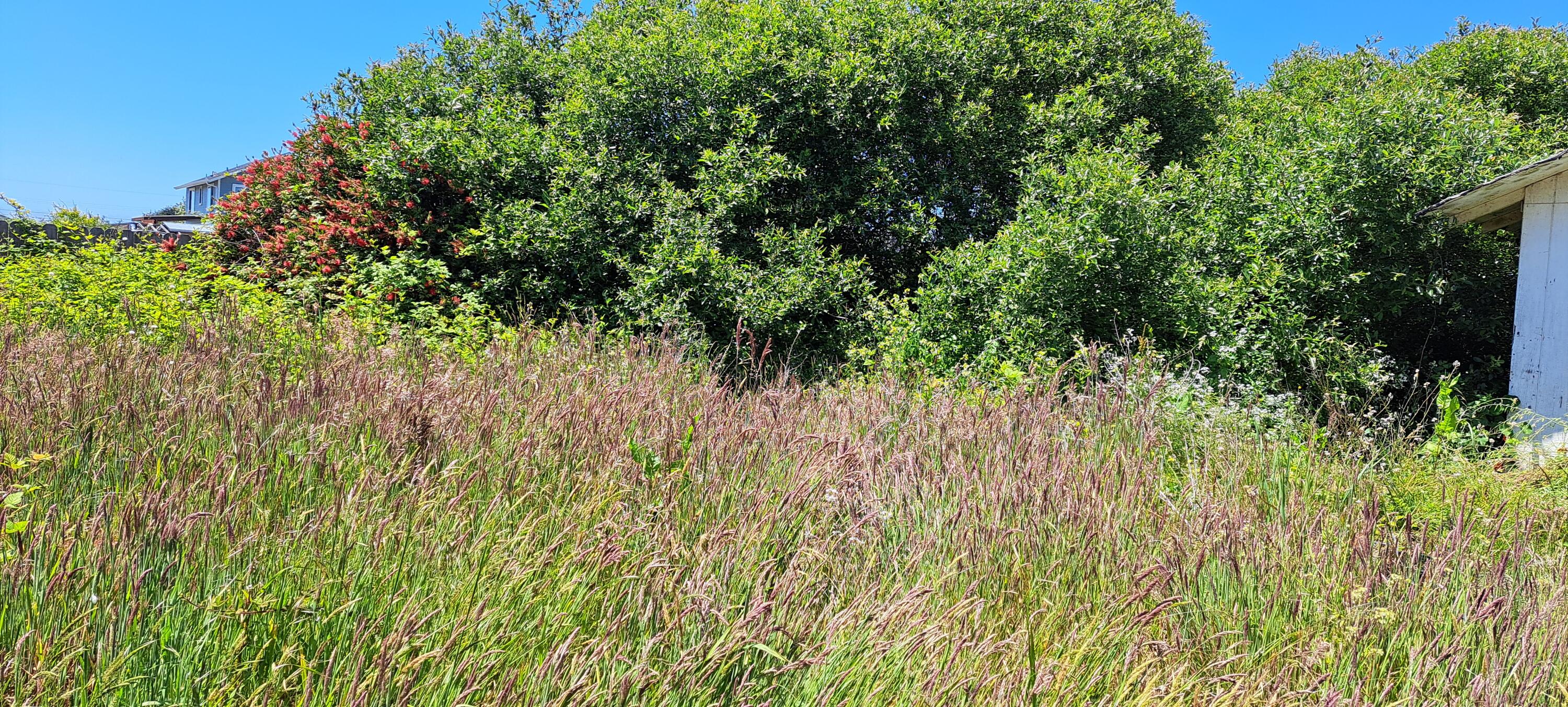 1472 Anderson Avenue, McKinleyville