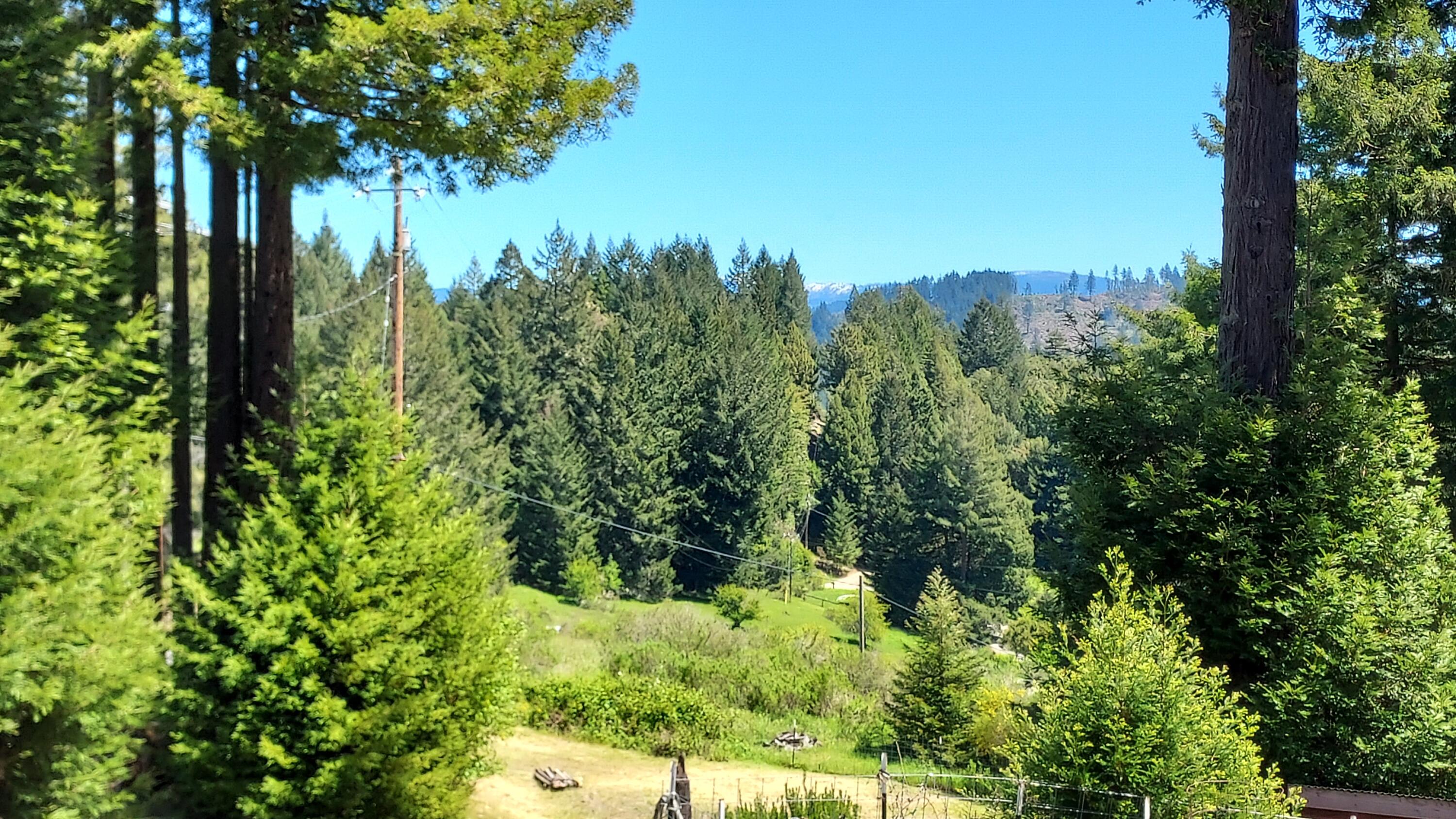 9400 Dyerville Loop Road