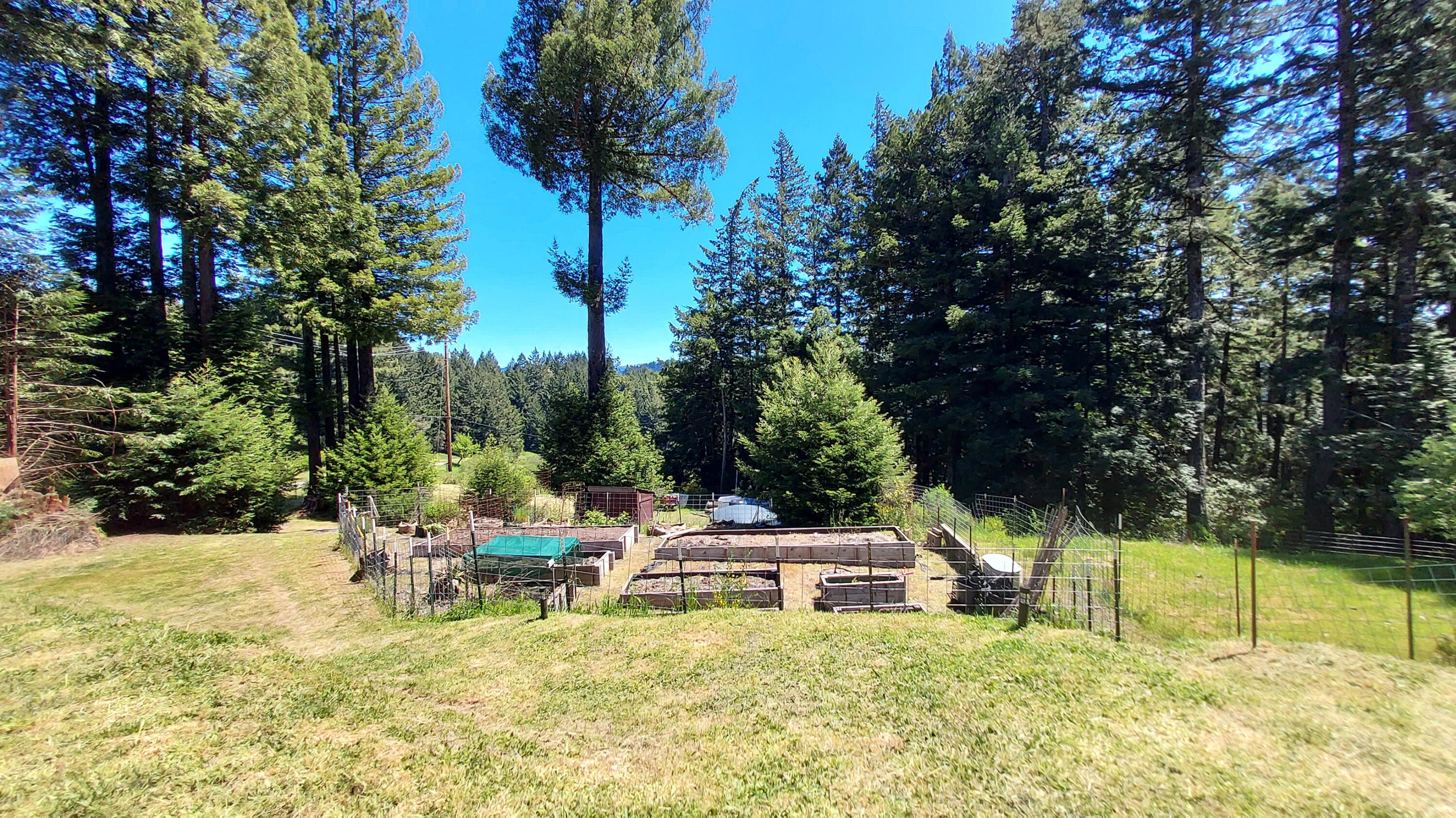 9400 Dyerville Loop Road