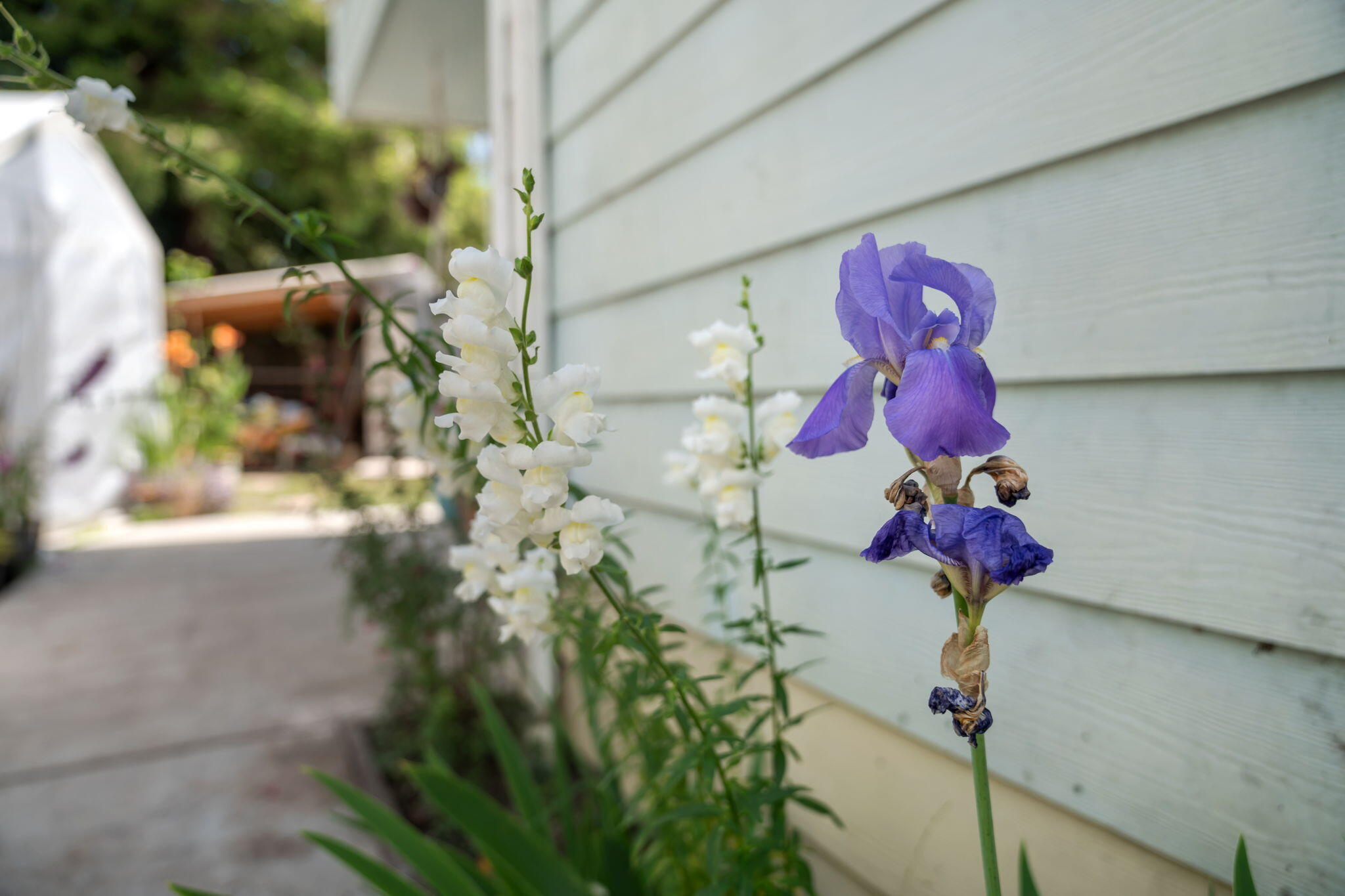 1705 Blue Jay Court