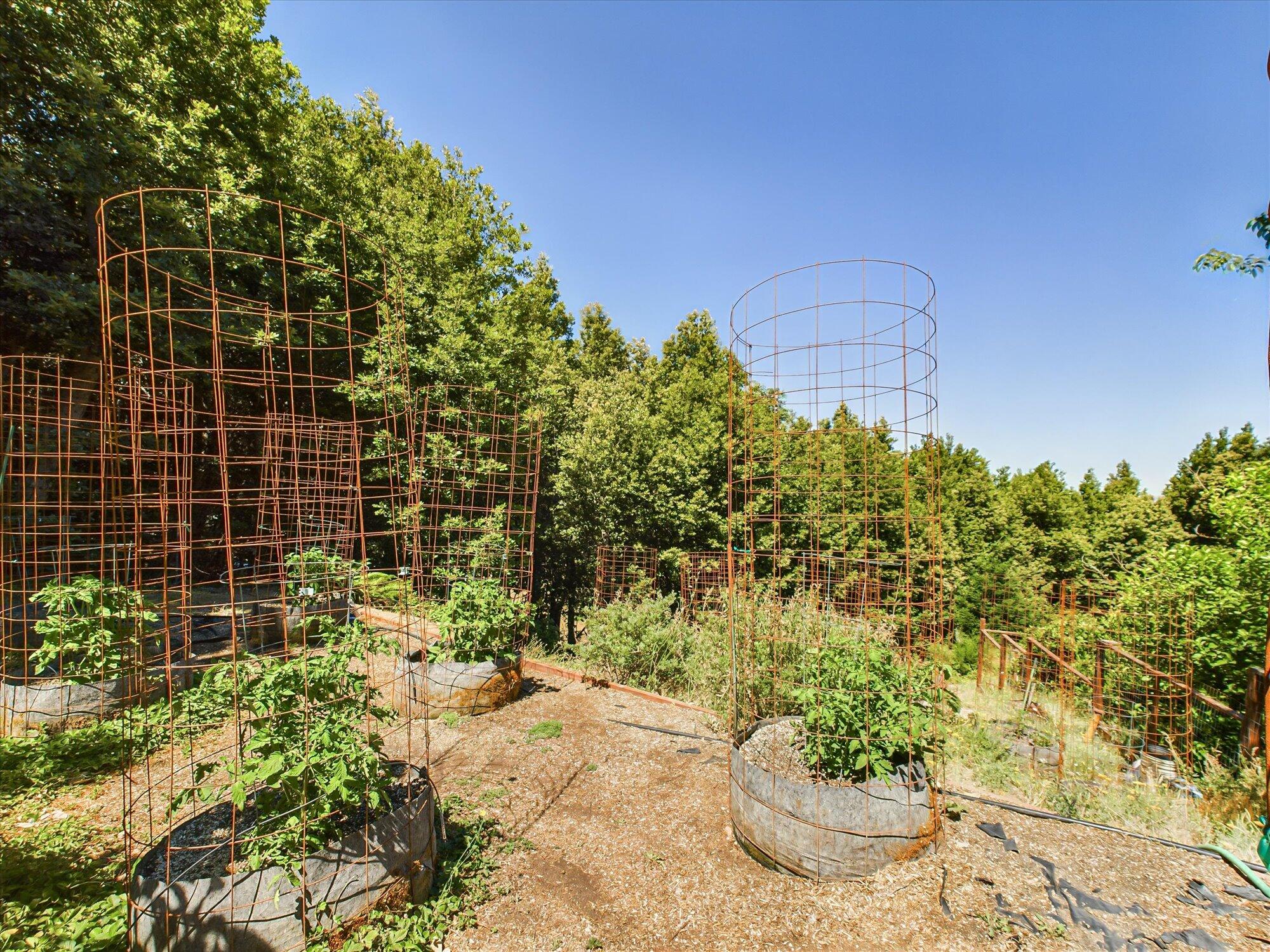 299 Cook Road