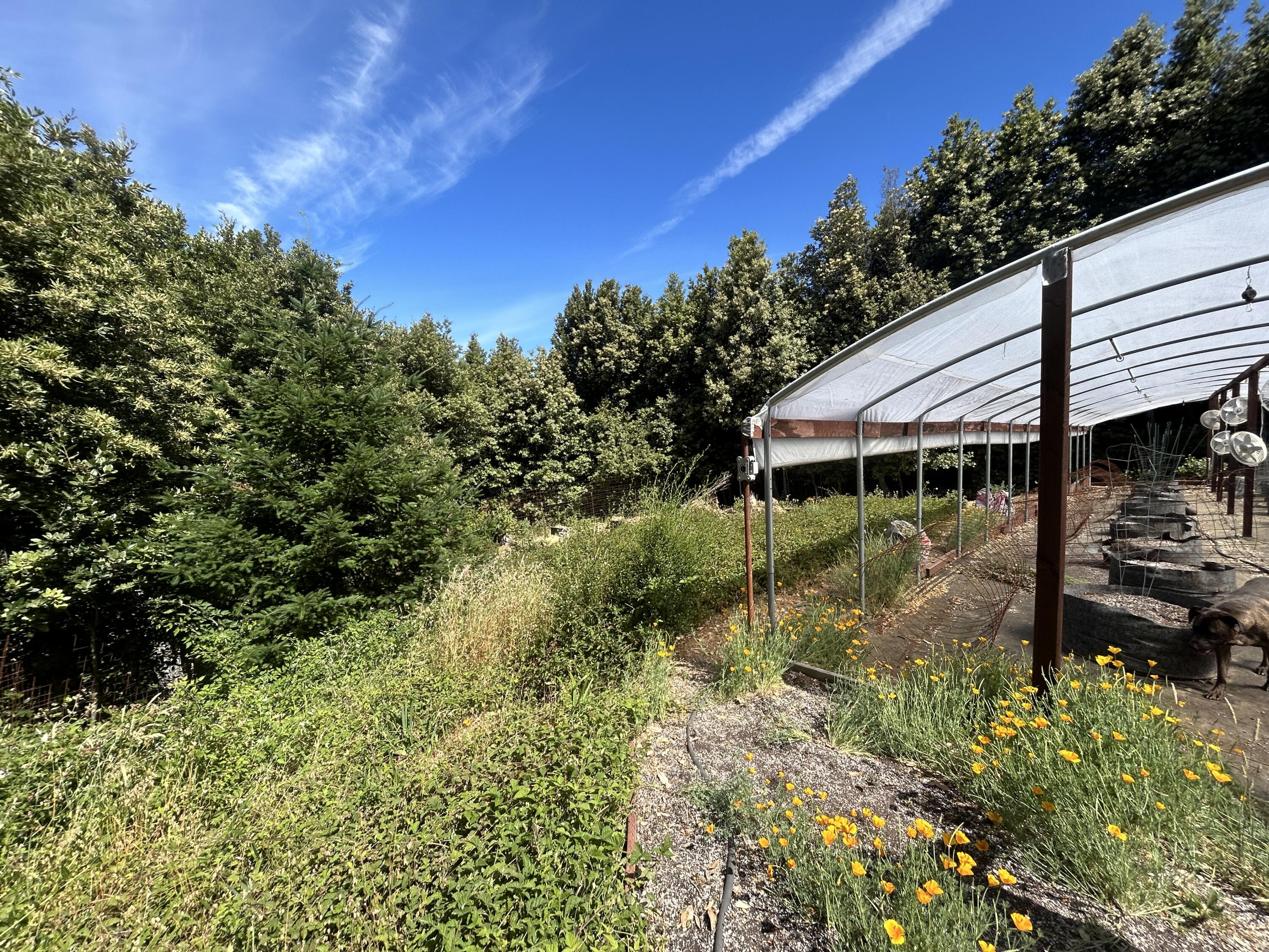 299 Cook Road