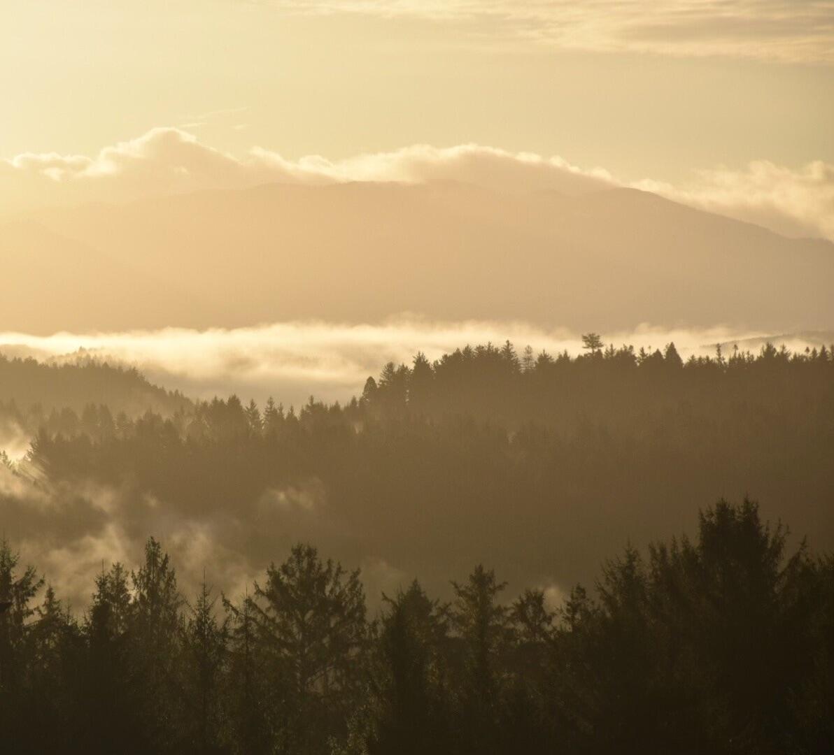1010 Hilltop Lane, McKinleyville