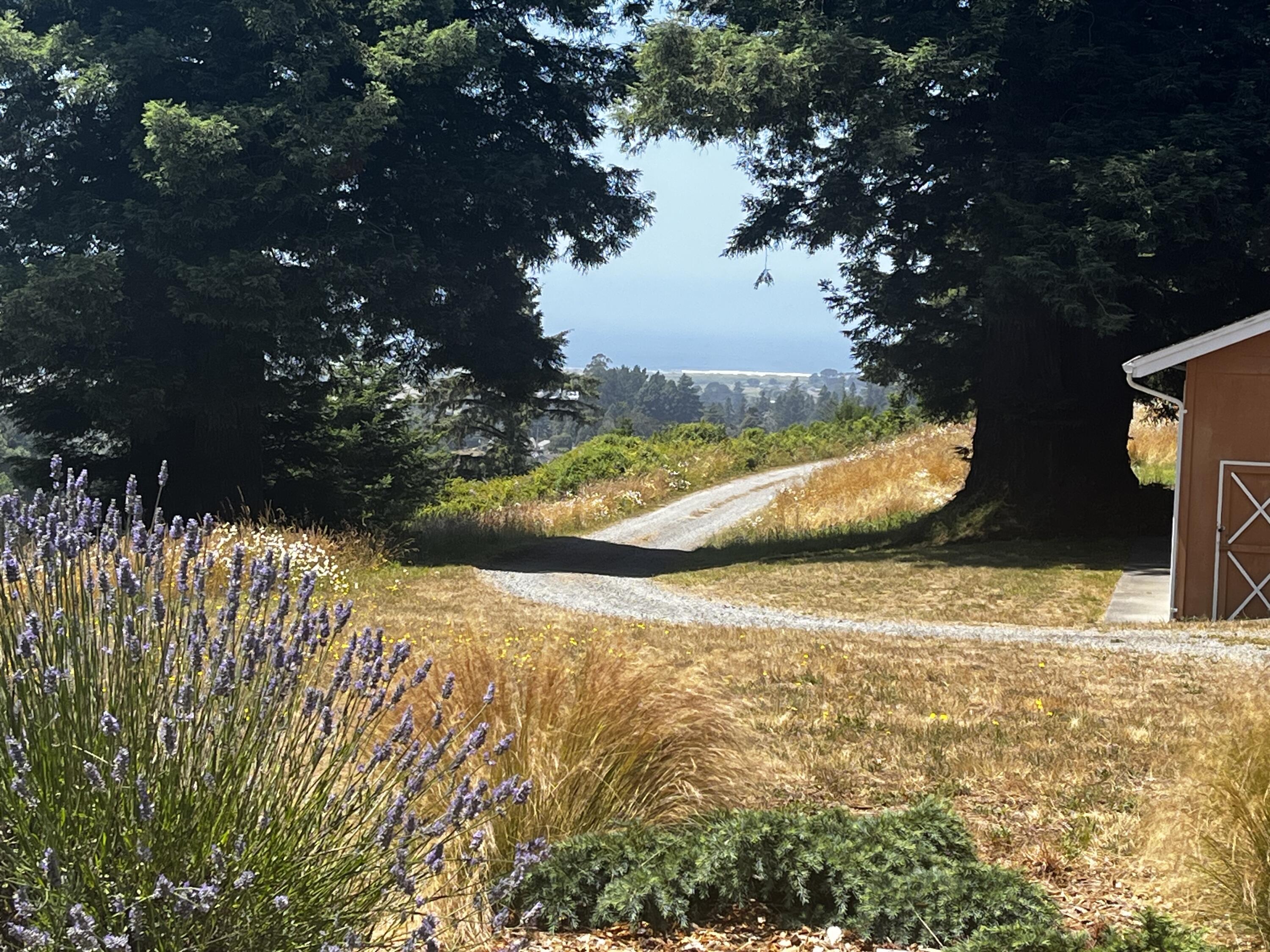 1010 Hilltop Lane, McKinleyville