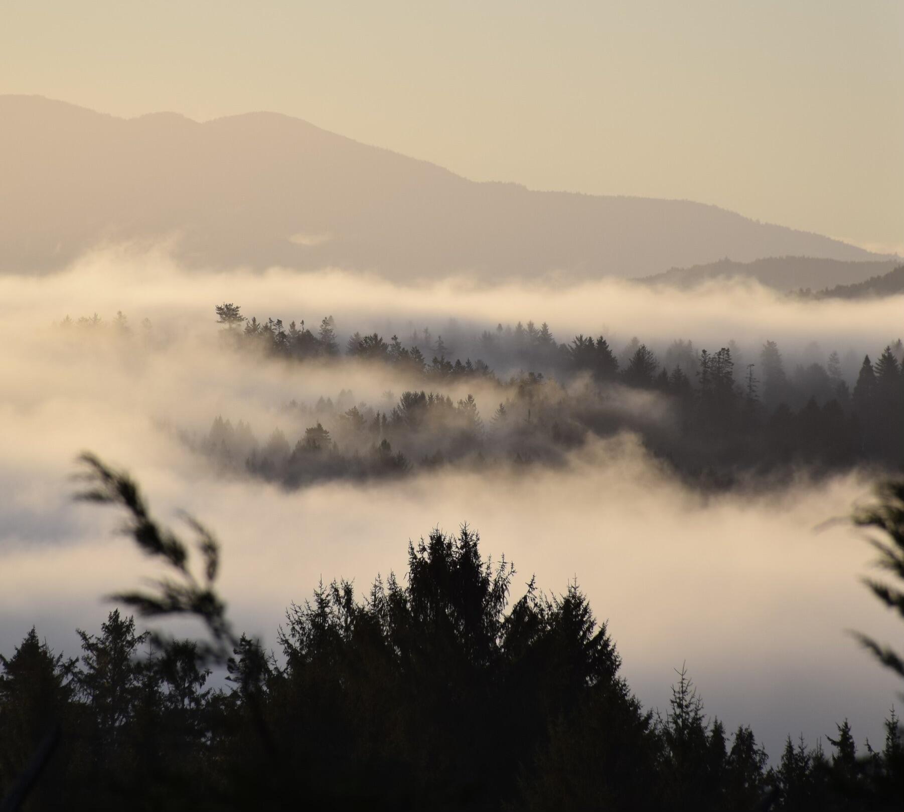 1010 Hilltop Lane, McKinleyville