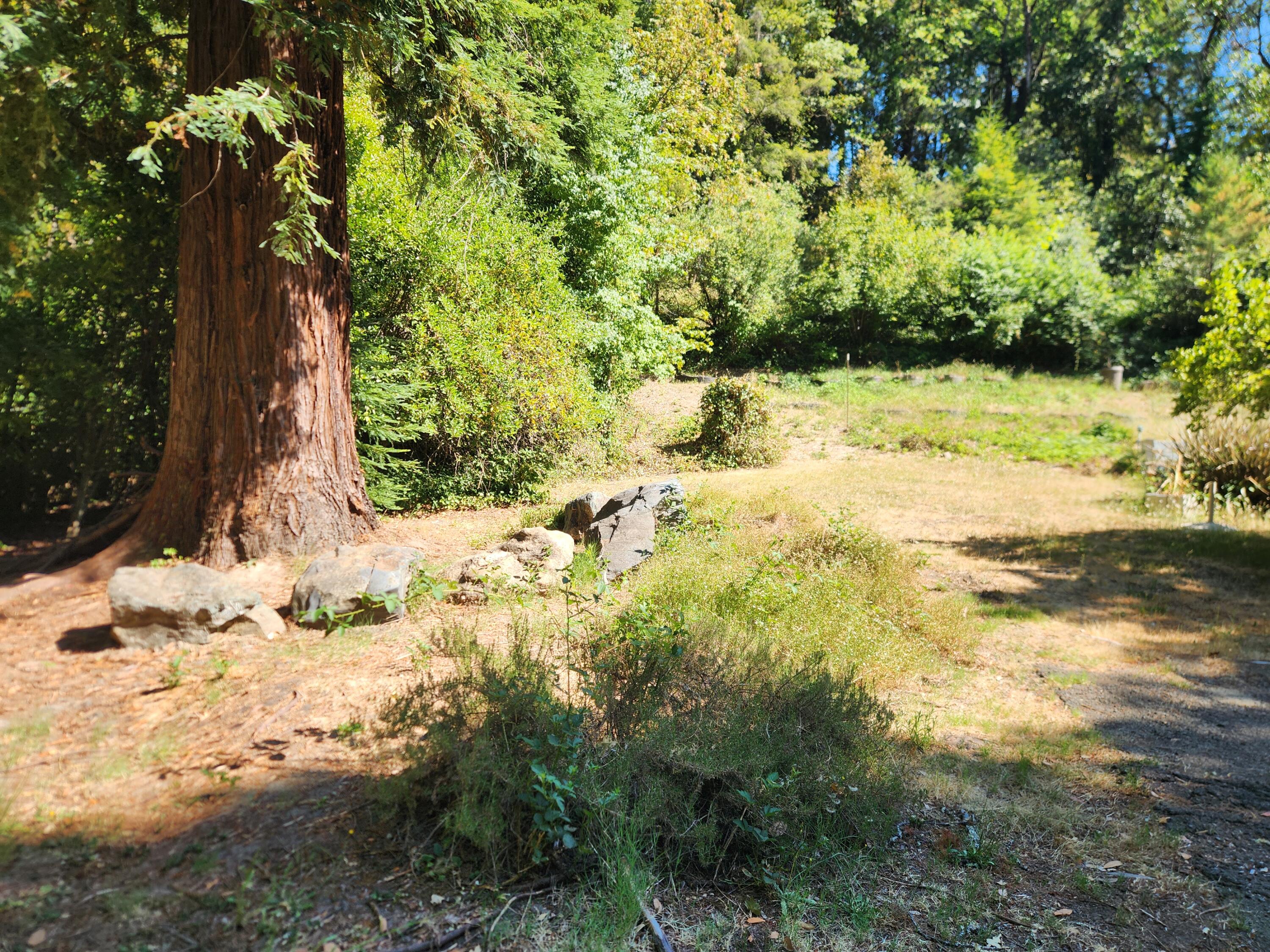 686 Oakridge Drive