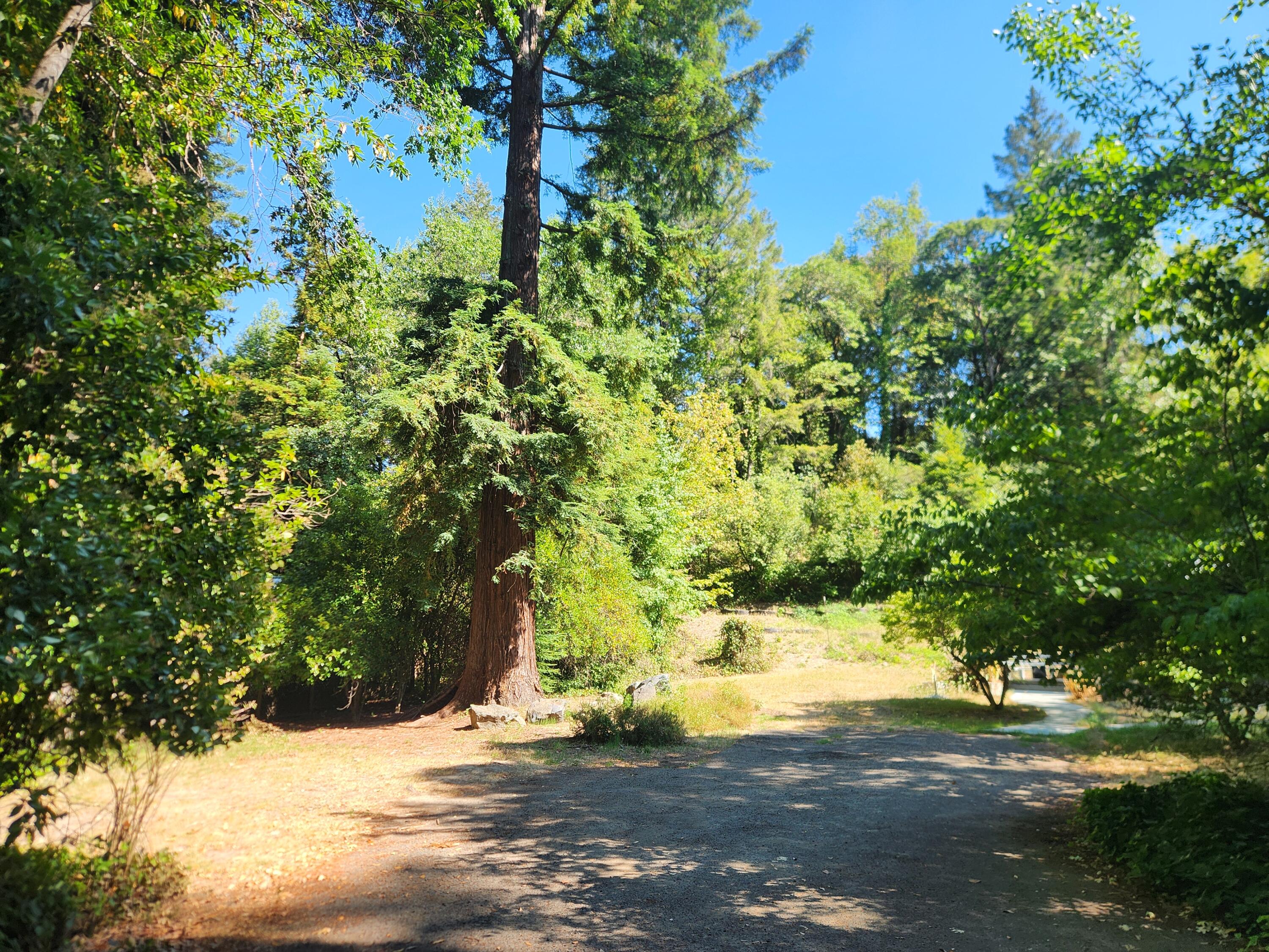 686 Oakridge Drive