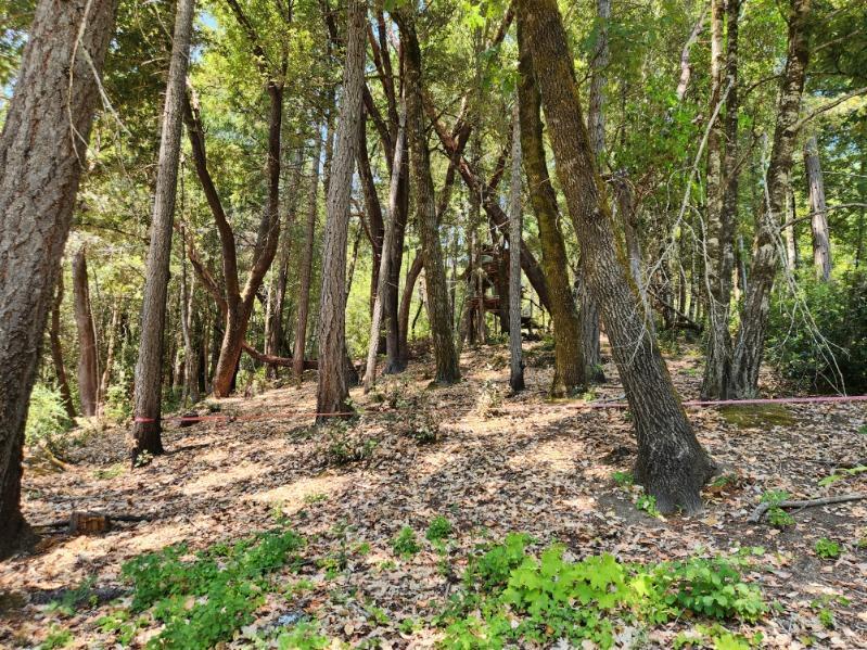 111 Cooper Ranch Road