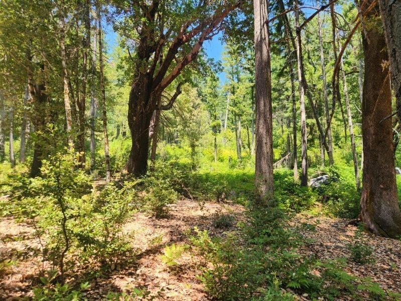 111 Cooper Ranch Road