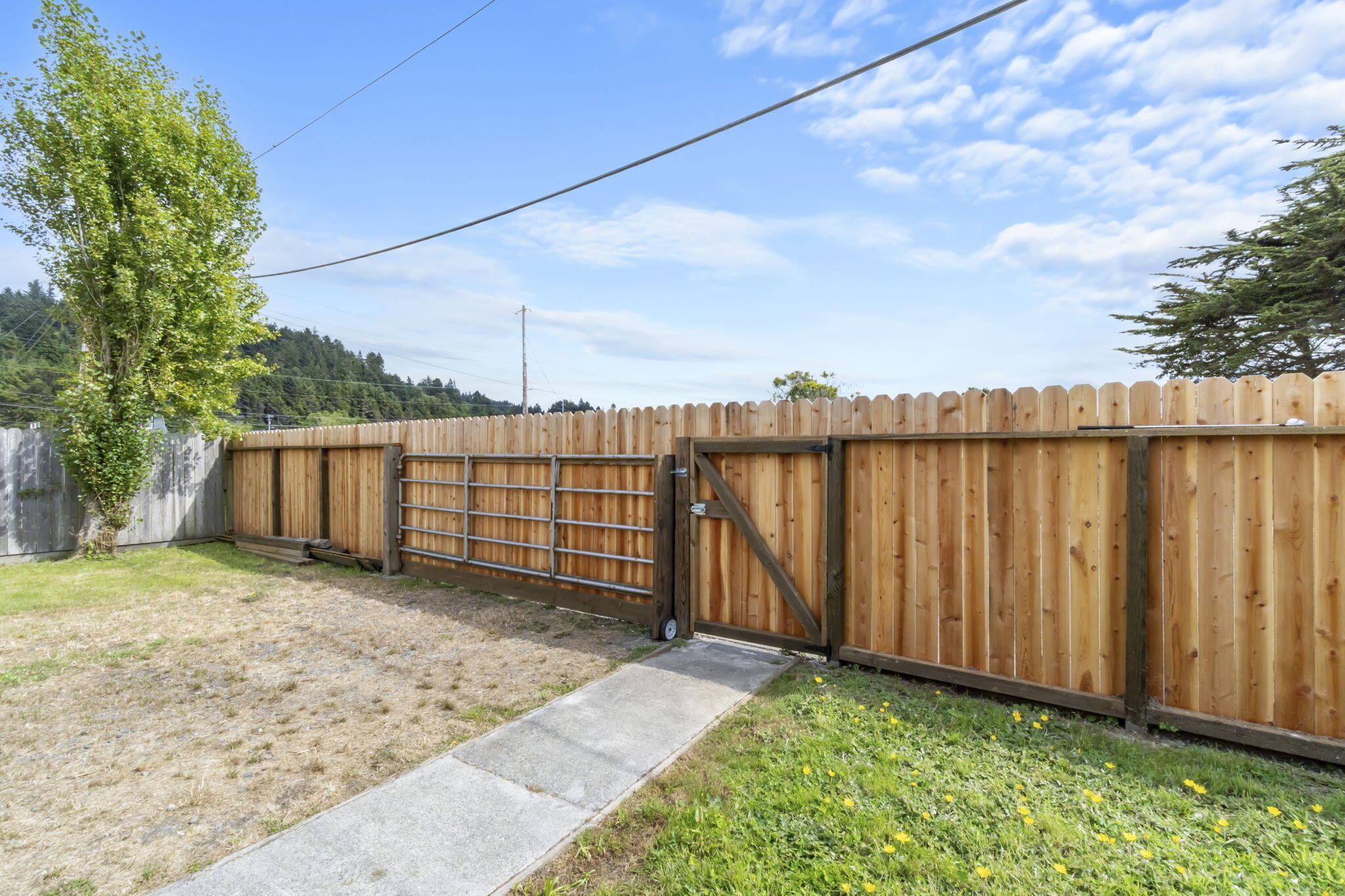 251 Central Avenue