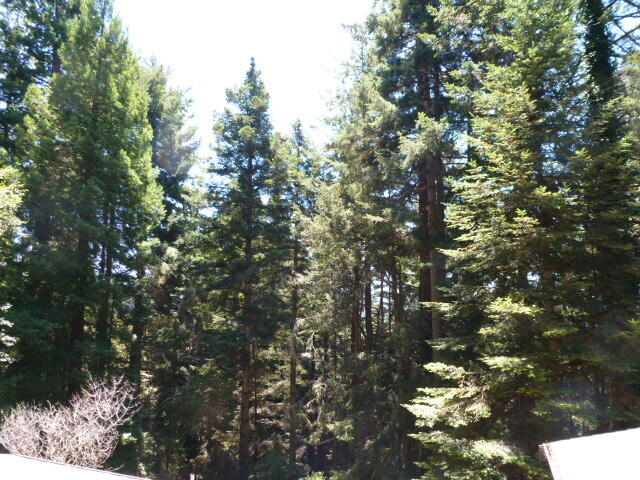 799 Crestwood Drive