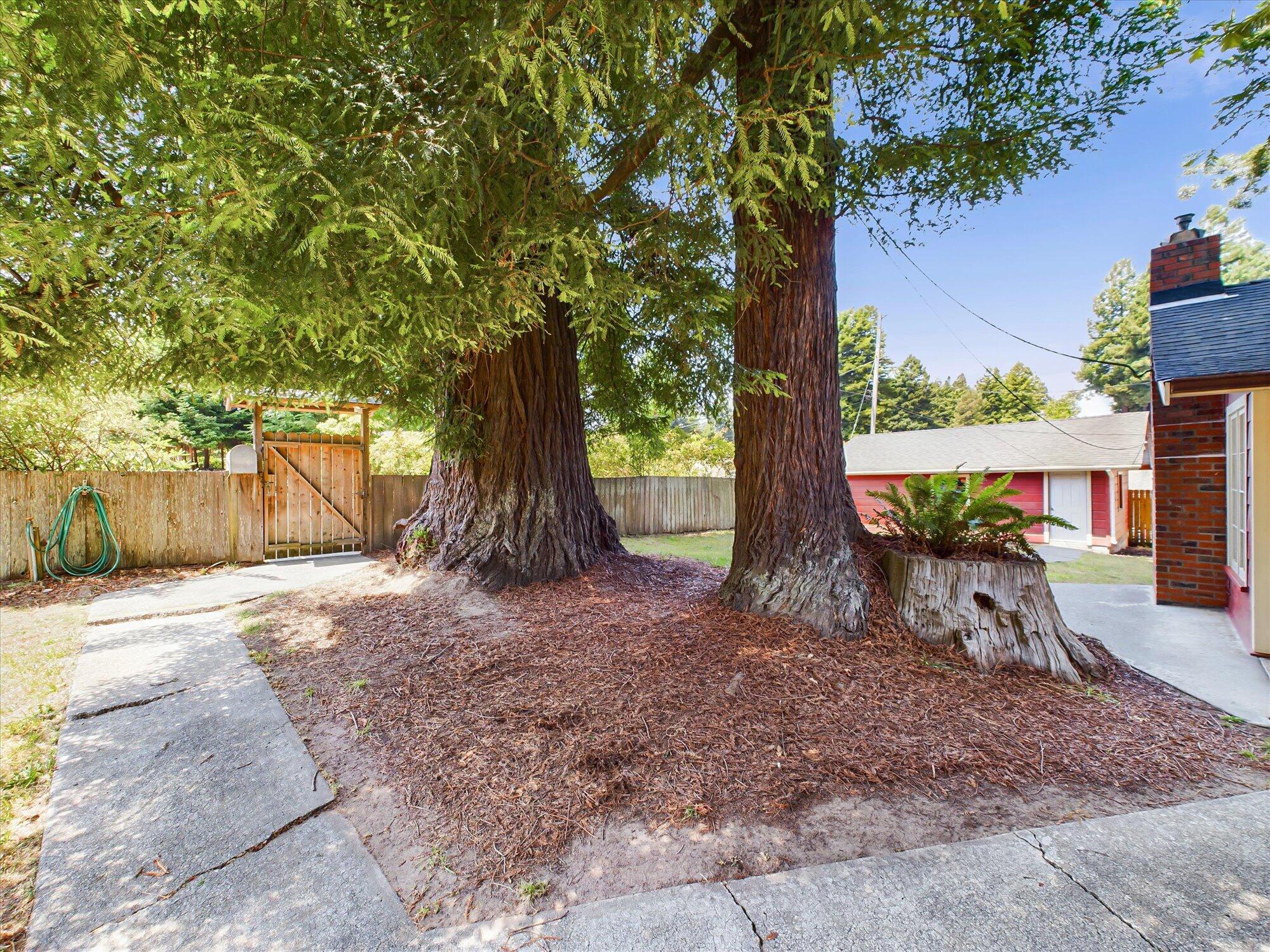 3483 Harrison Avenue