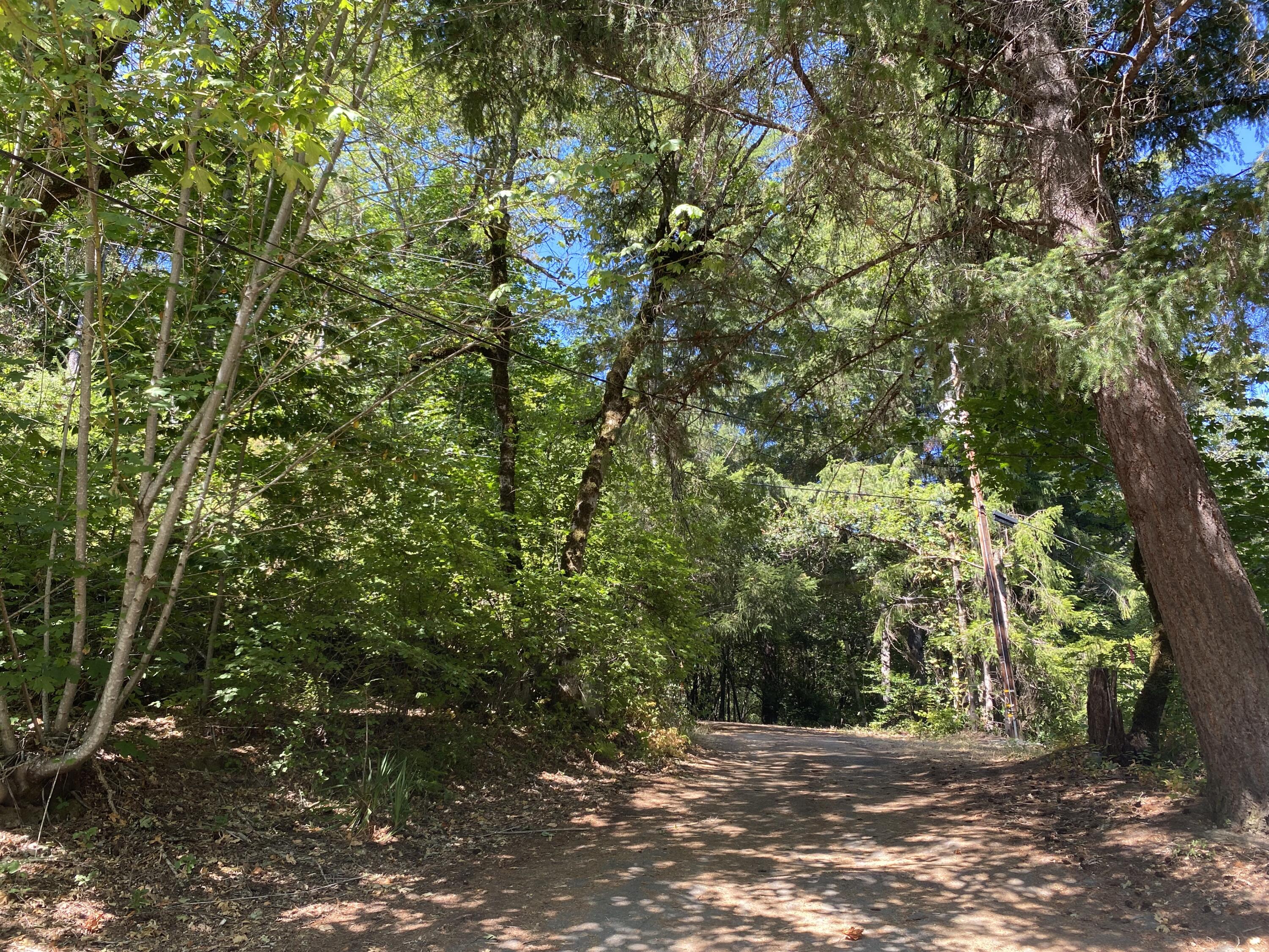 383 Upper Weitchpec School Road