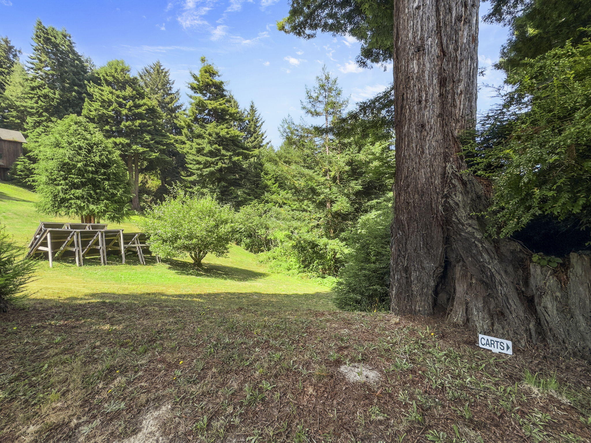 720 Tanglewood Road