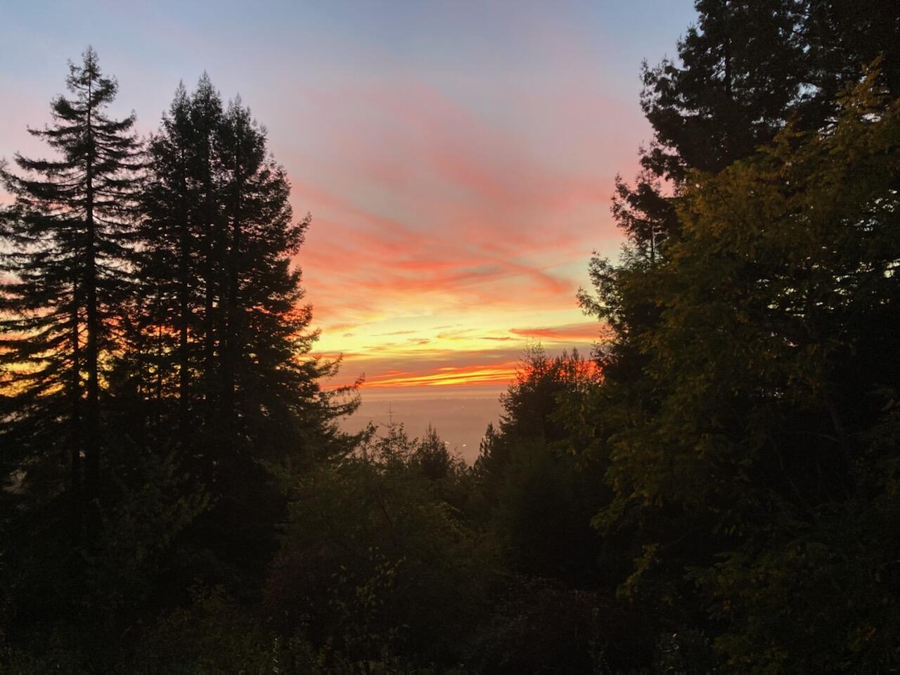 2340 Greenwood Heights Drive