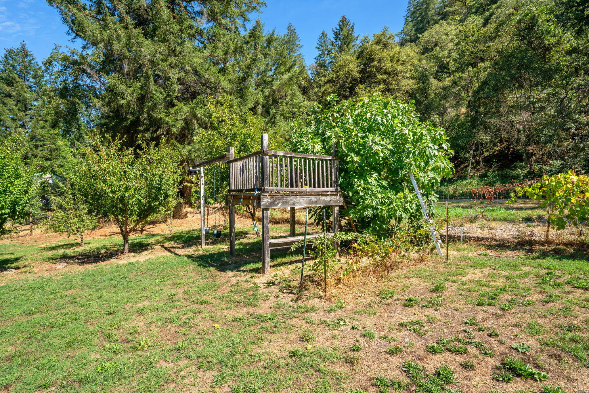 324 Horse Linto Creek Road