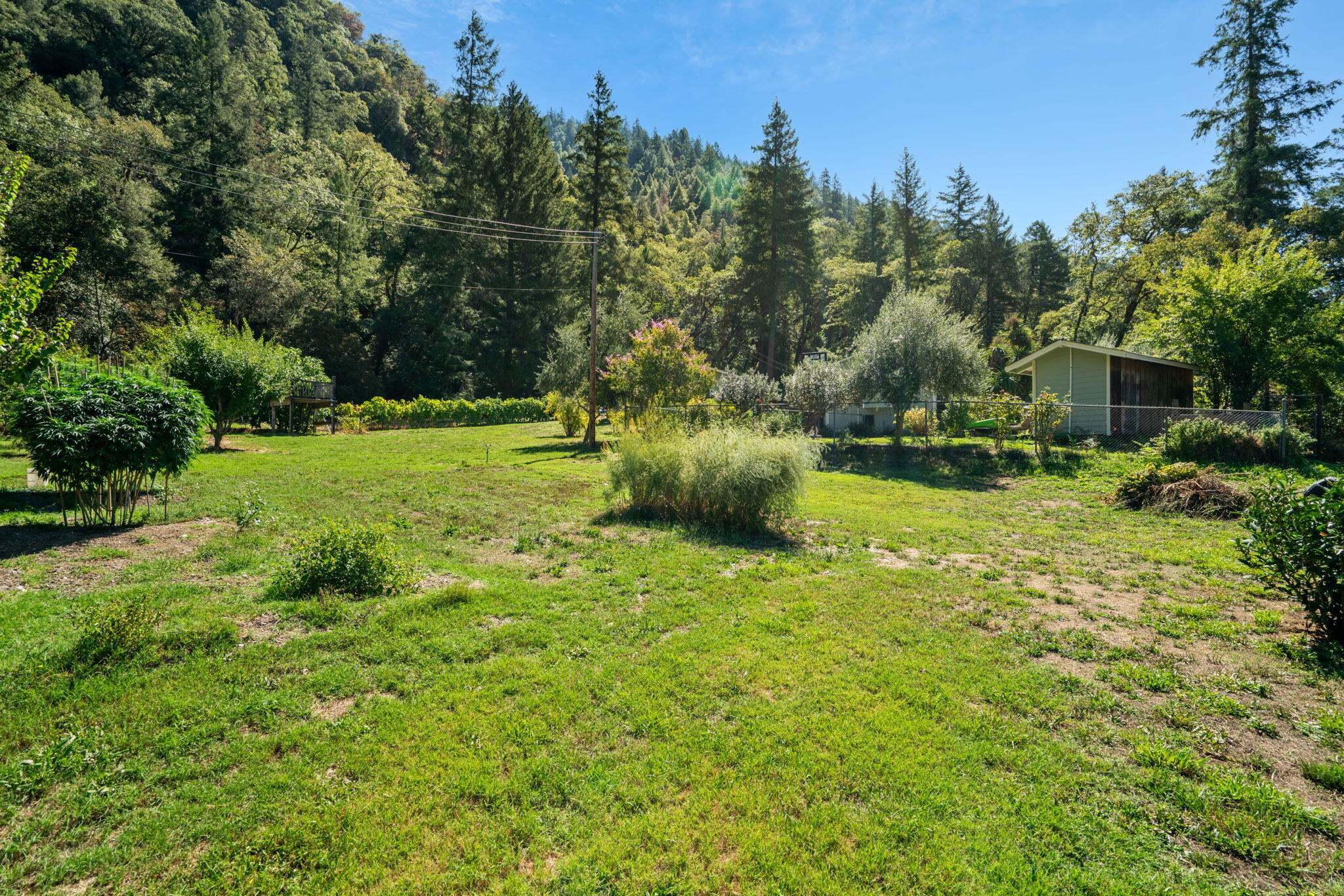324 Horse Linto Creek Road