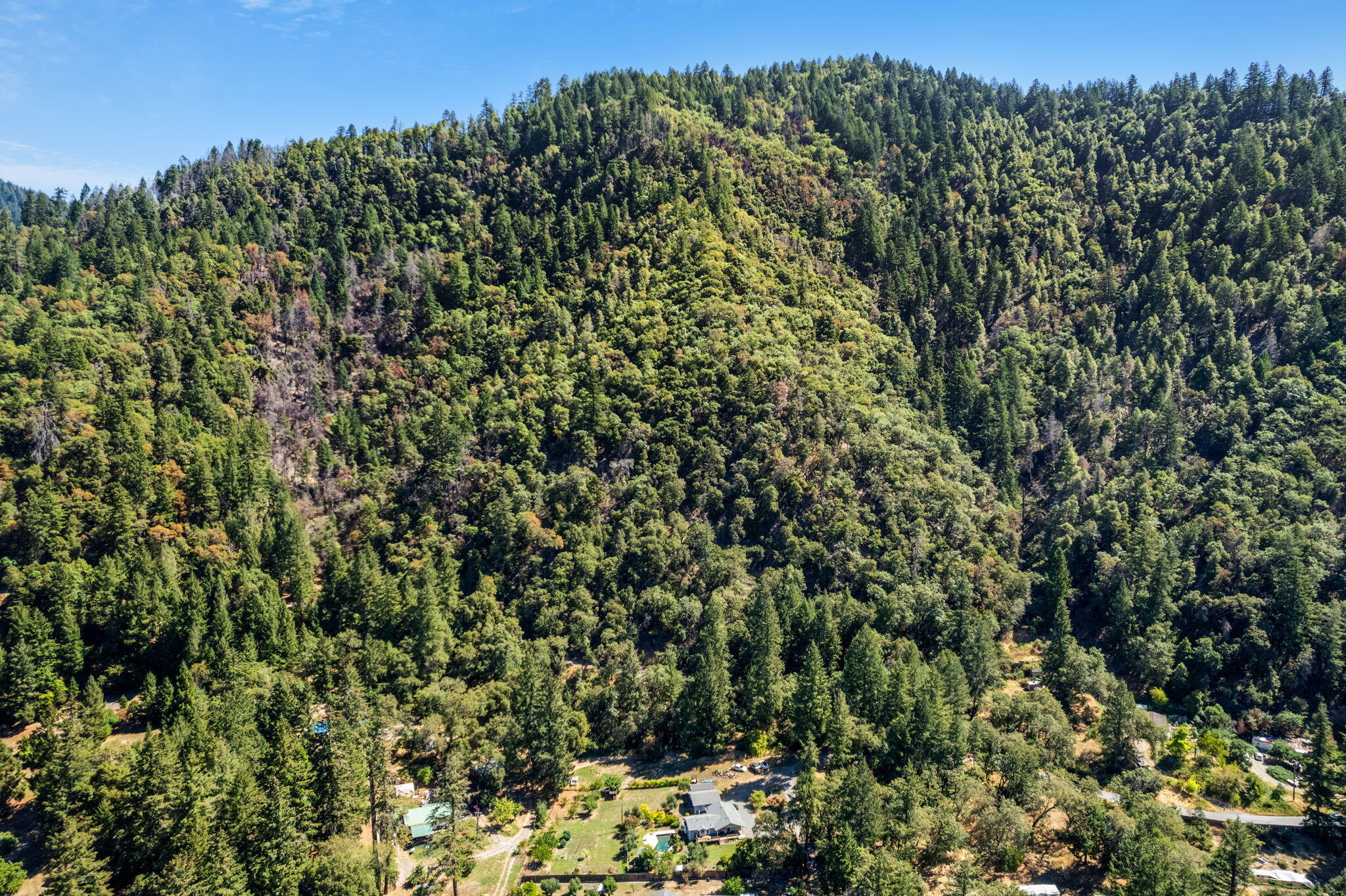 324 Horse Linto Creek Road