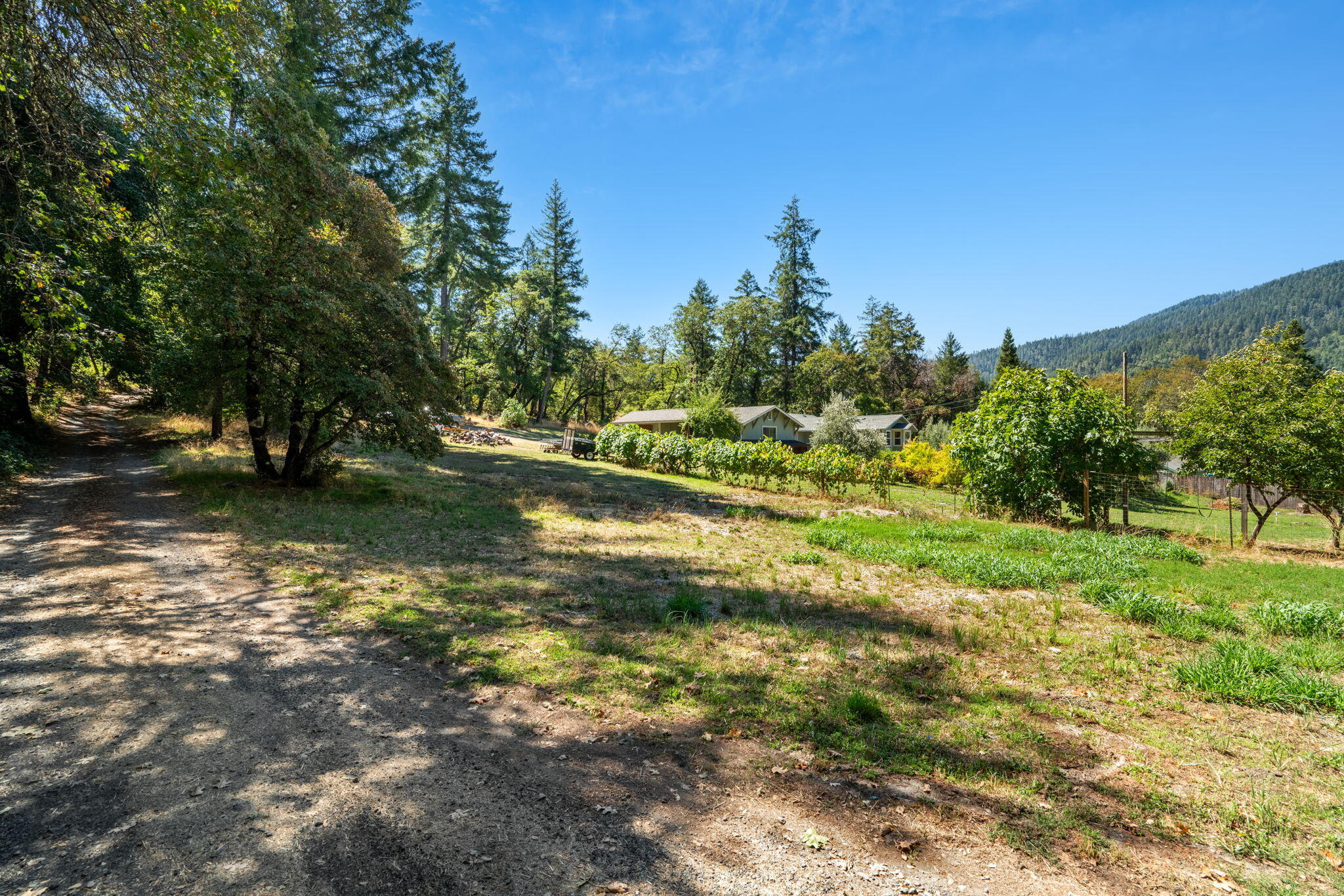 324 Horse Linto Creek Road