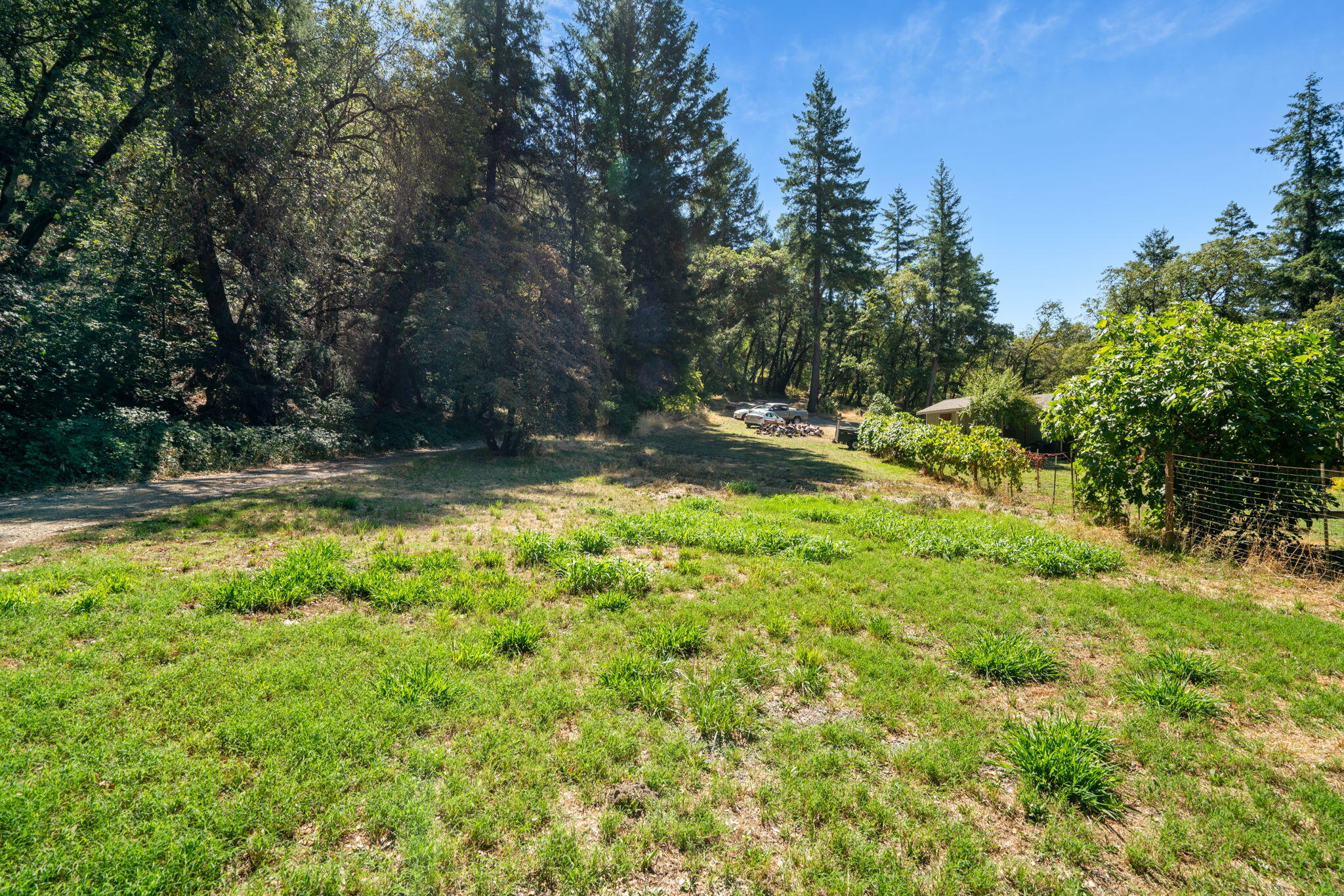 324 Horse Linto Creek Road