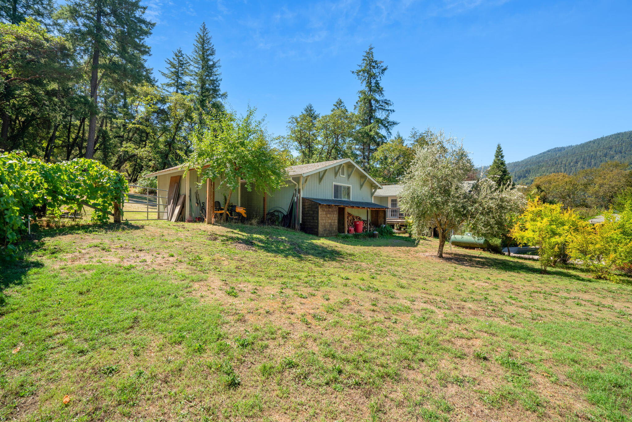 324 Horse Linto Creek Road